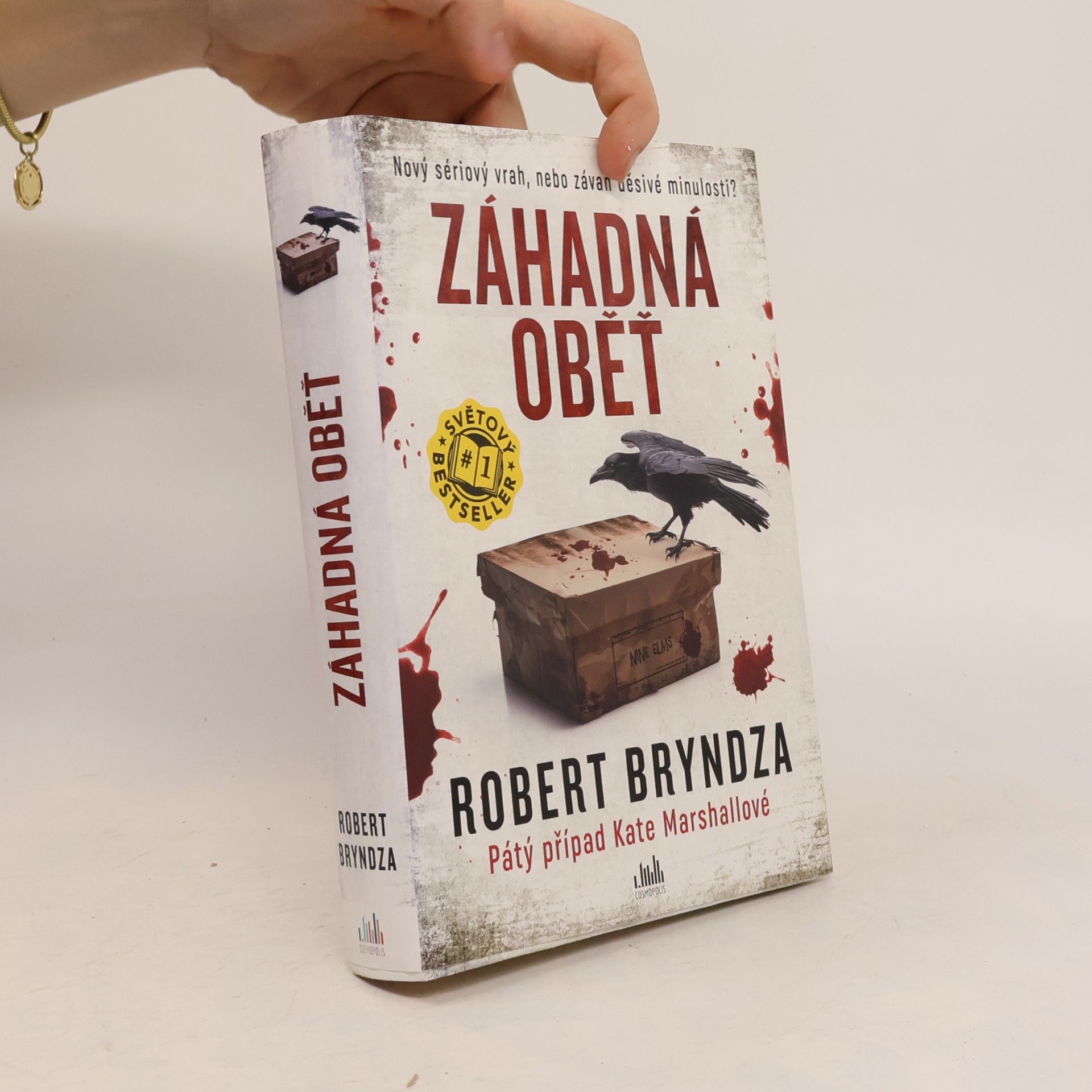 Robert Bryndza Záhadná oběť
