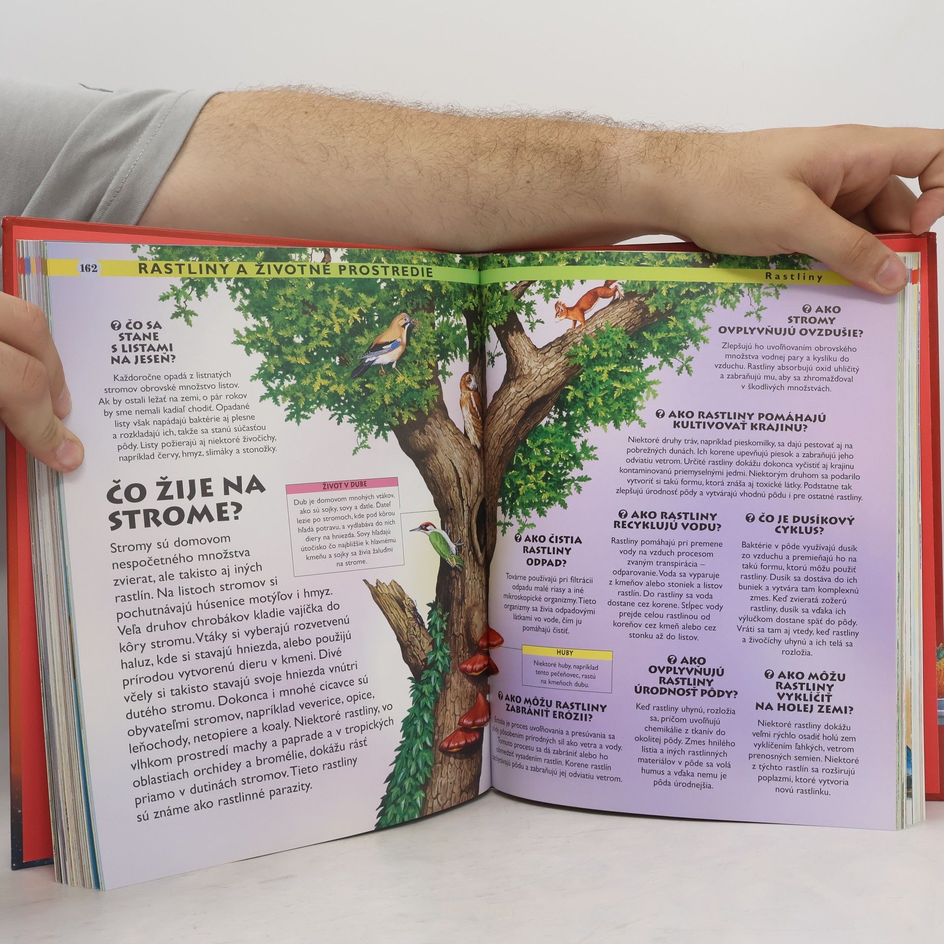 kolektiv Najväčšia kniha otázok a odpovedí