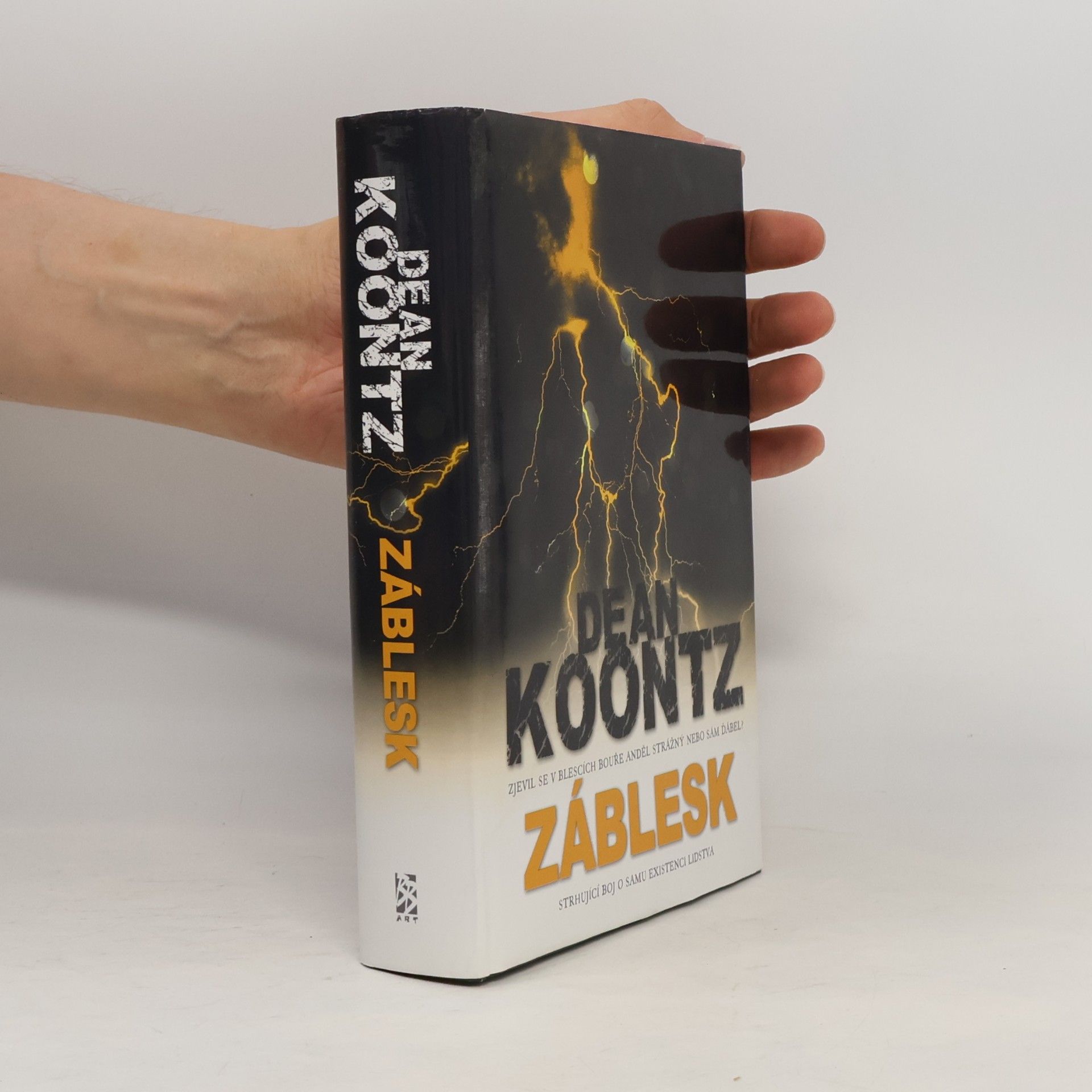 Dean Ray Koontz Záblesk