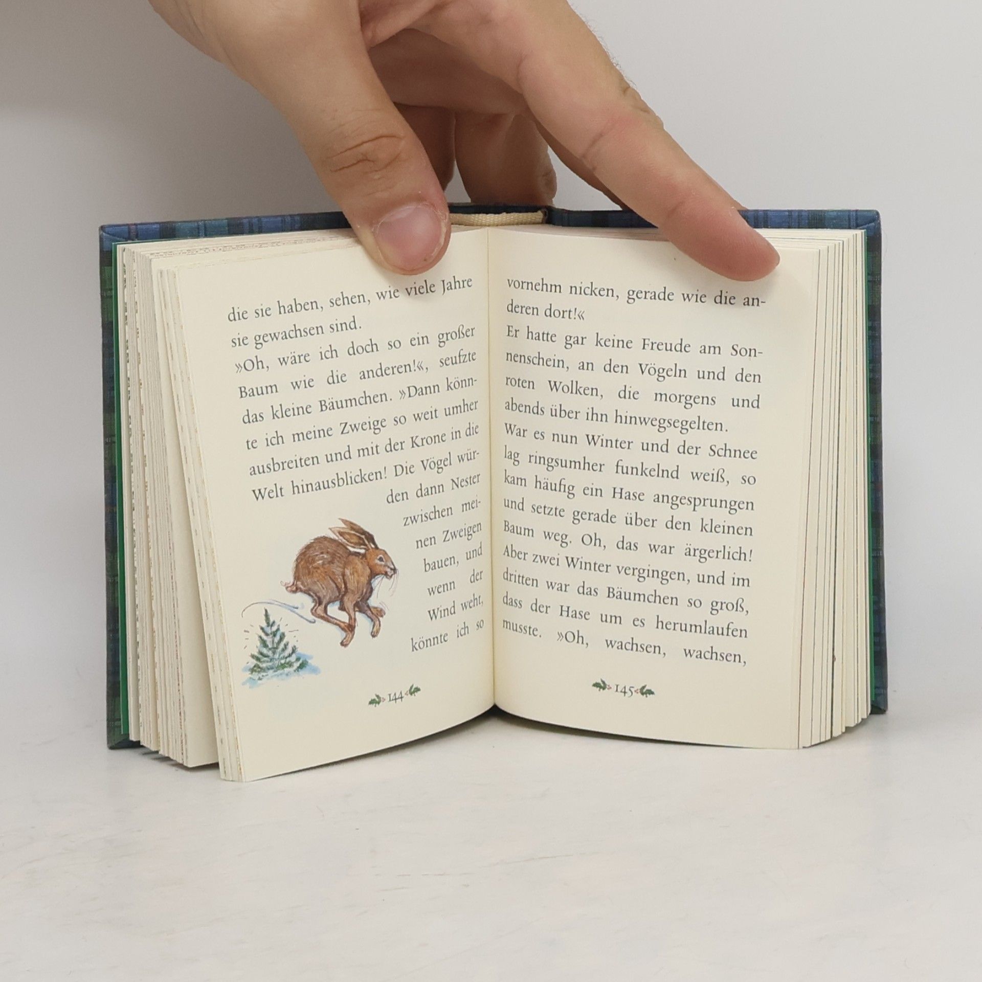 Hans Christian Andersen Die schönsten Weihnachtsmärchen