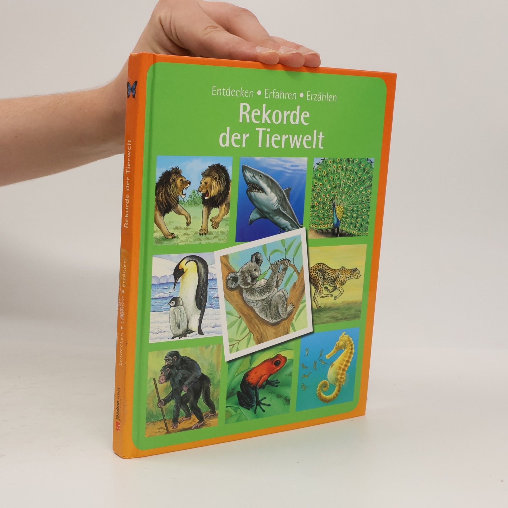 Various authors Rekorde der Tierwelt