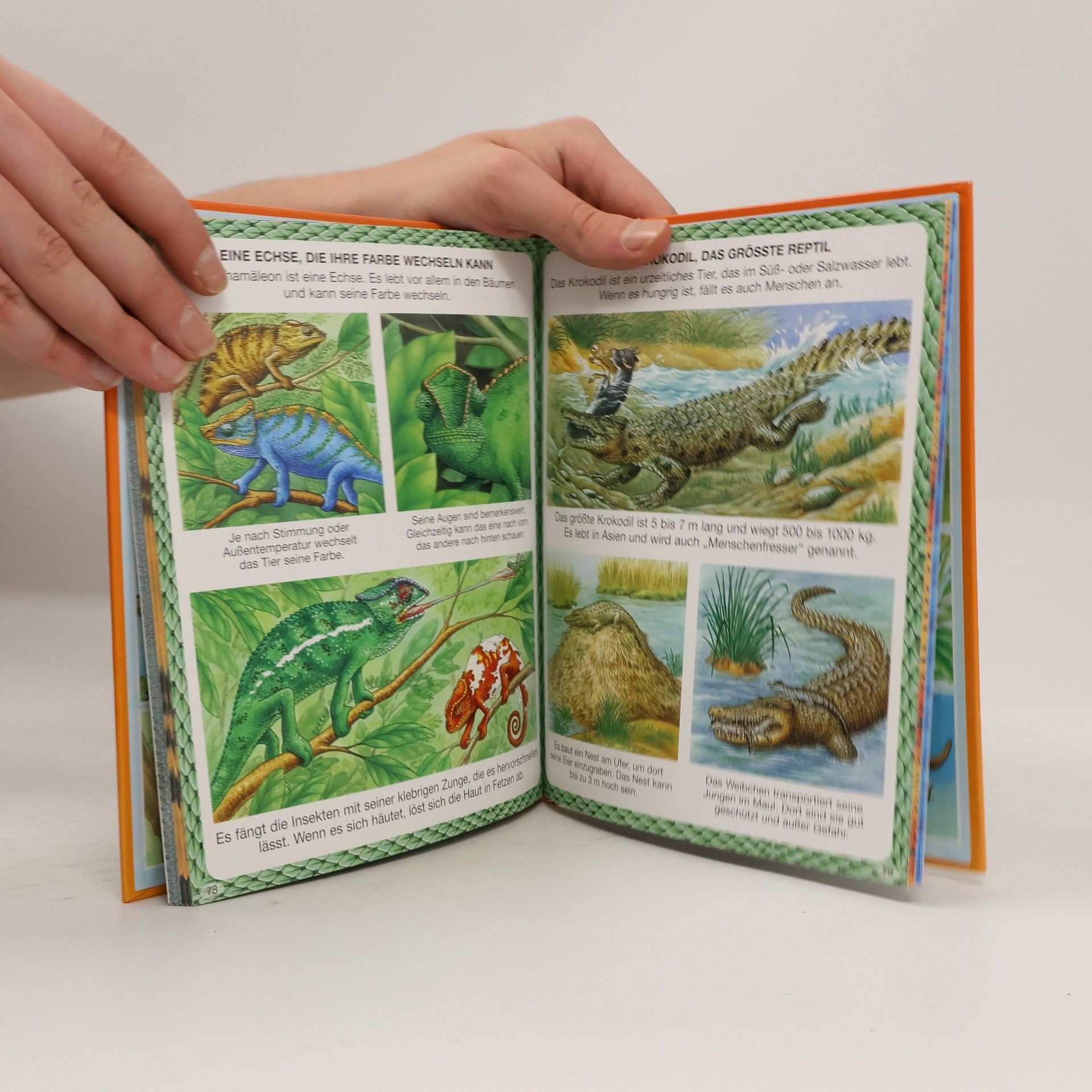 Various authors Rekorde der Tierwelt