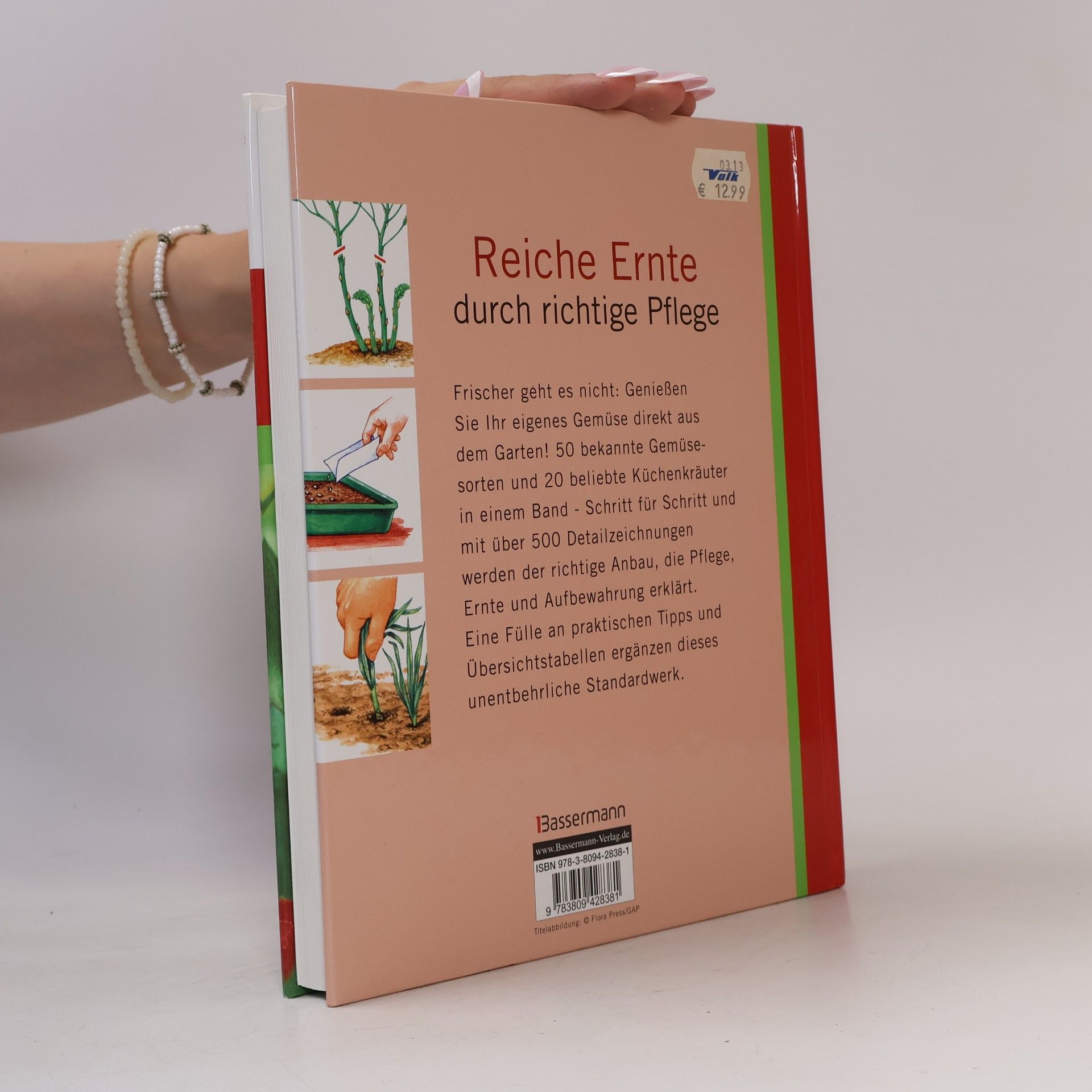 Rosenn Le Page Abc des Gemüsegartens