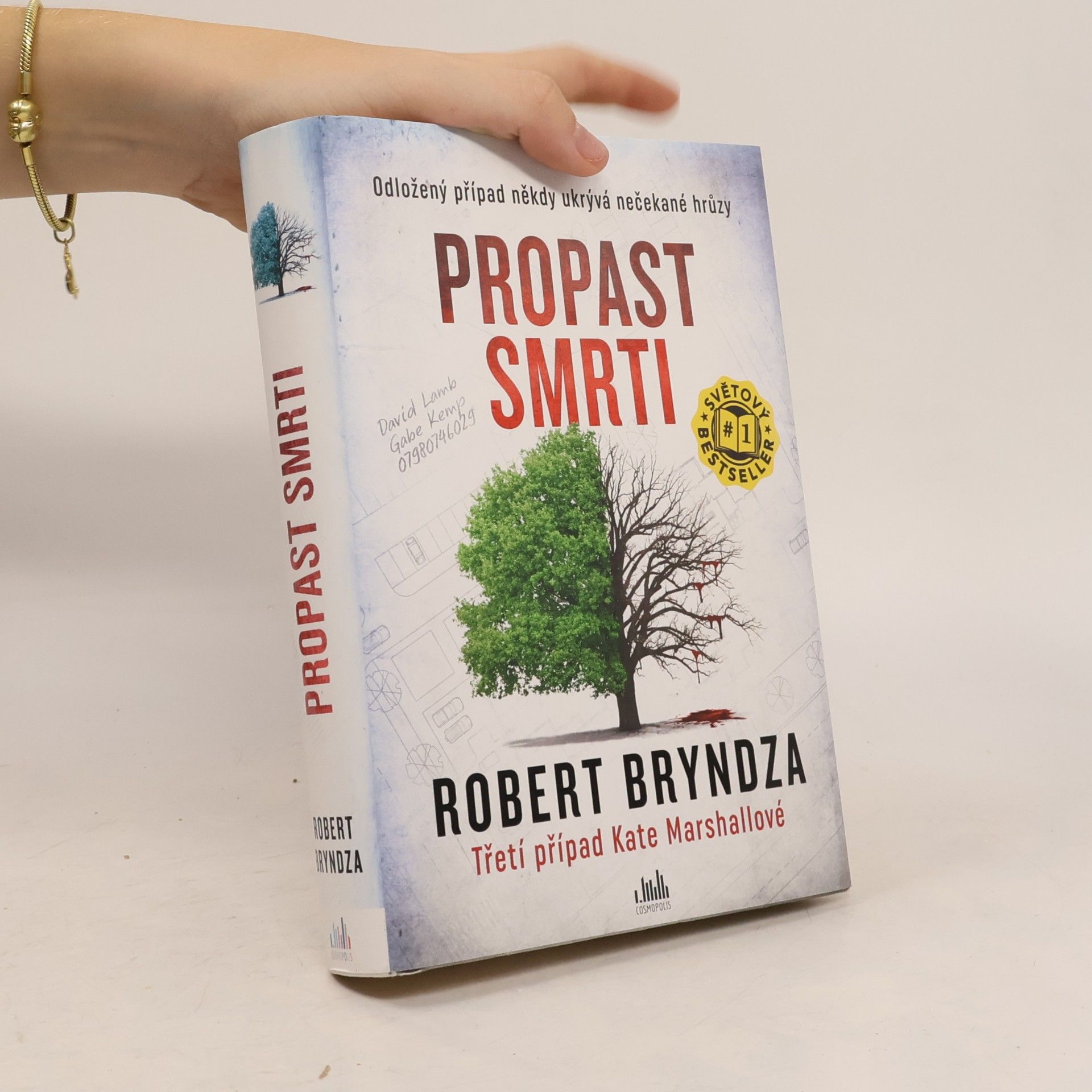 Robert Bryndza Propast smrti