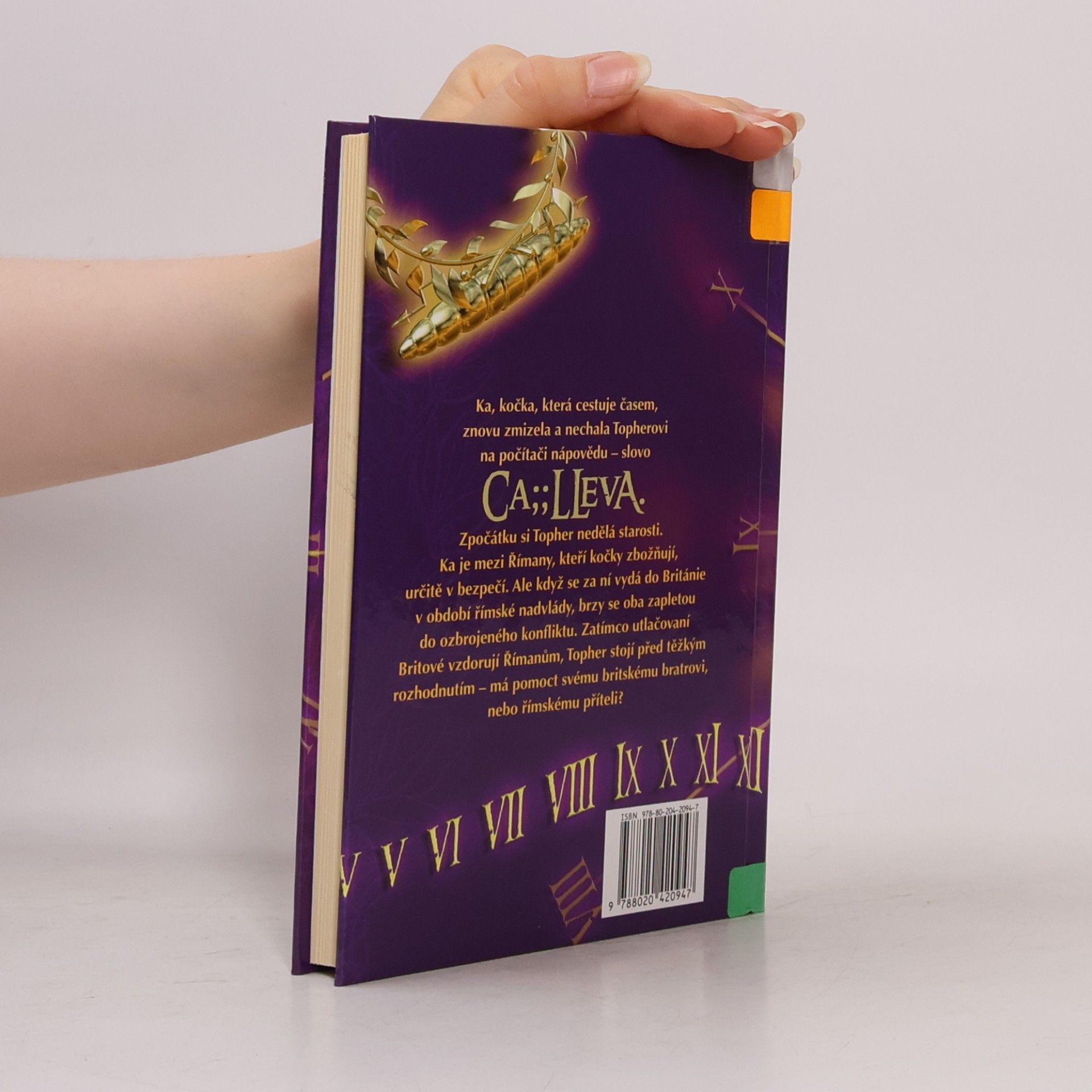 Julia Jarman Tajemná kočka Ka a římský orel