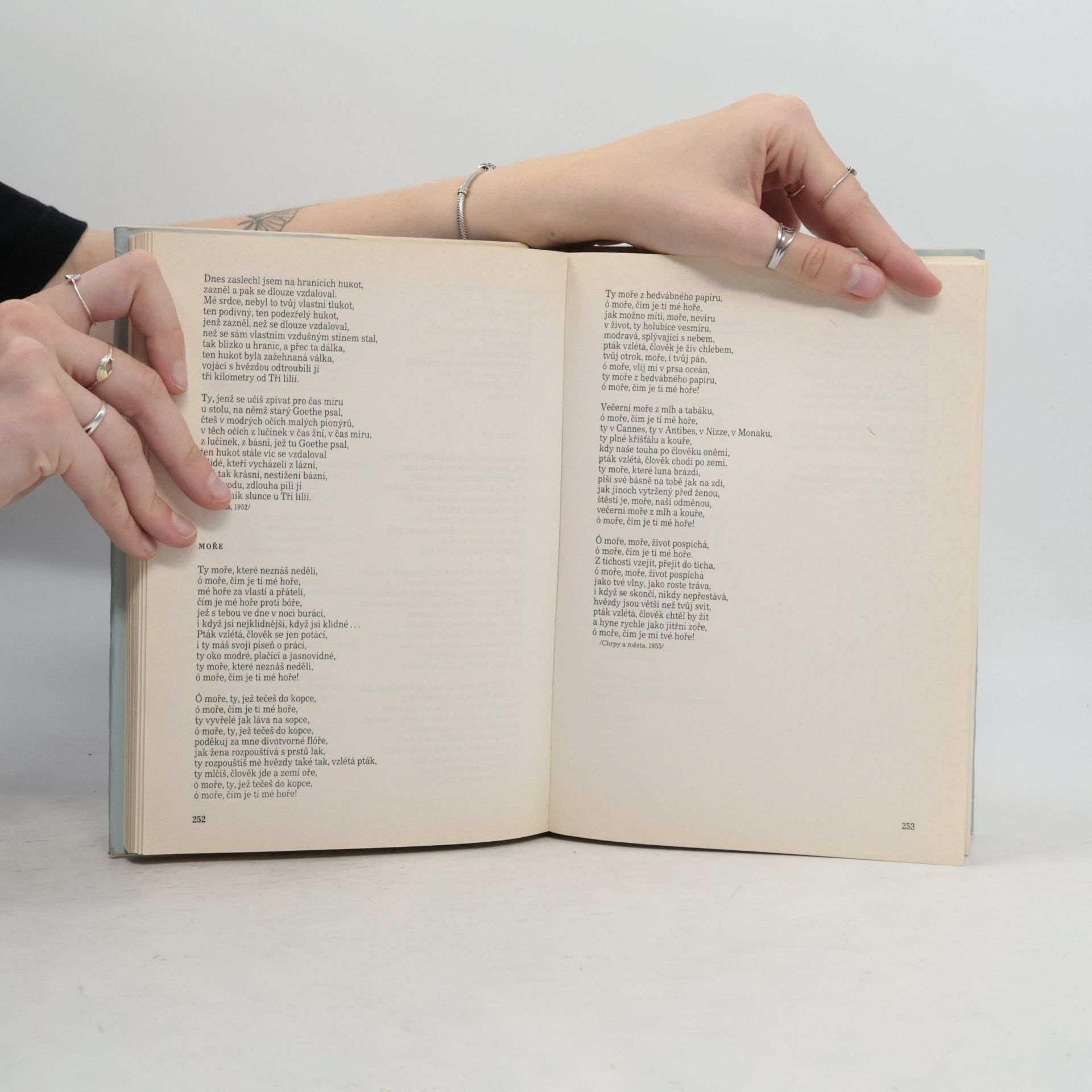 Autorenkollektiv Česká poezie dvacátého století