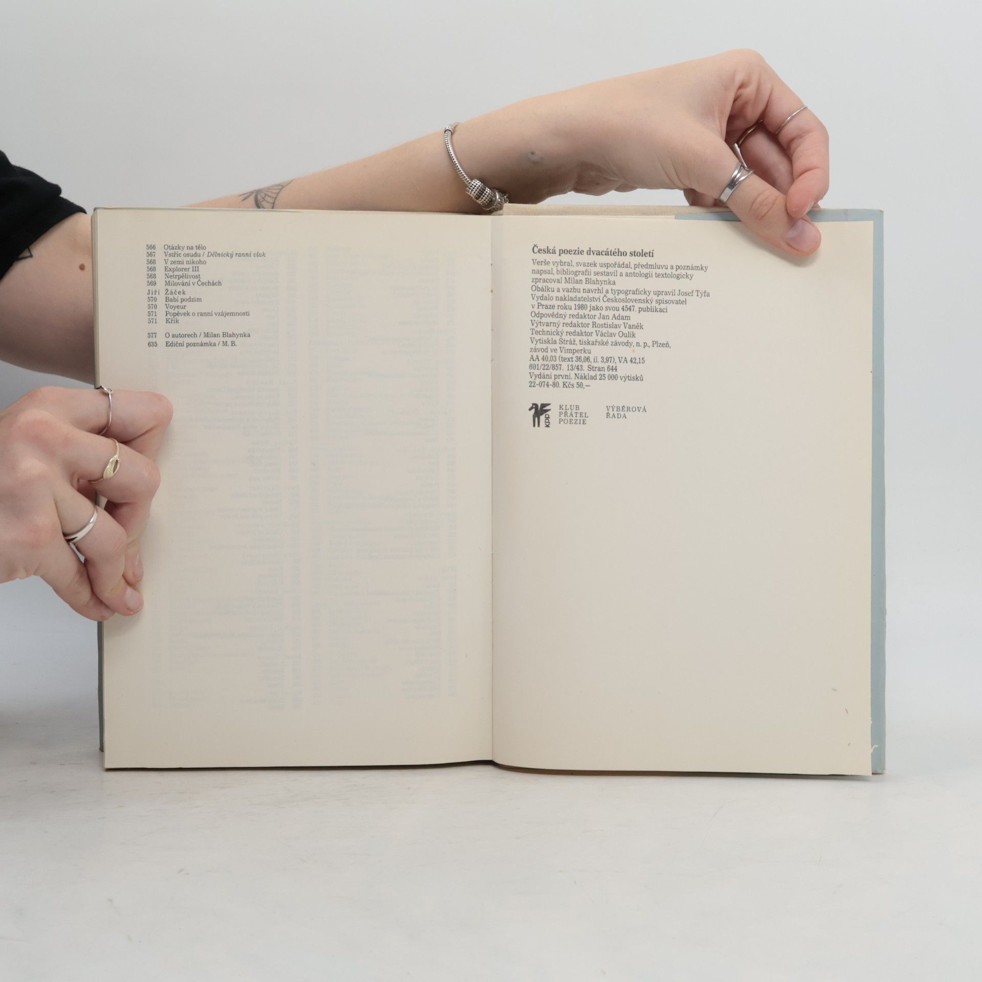 Autorenkollektiv Česká poezie dvacátého století