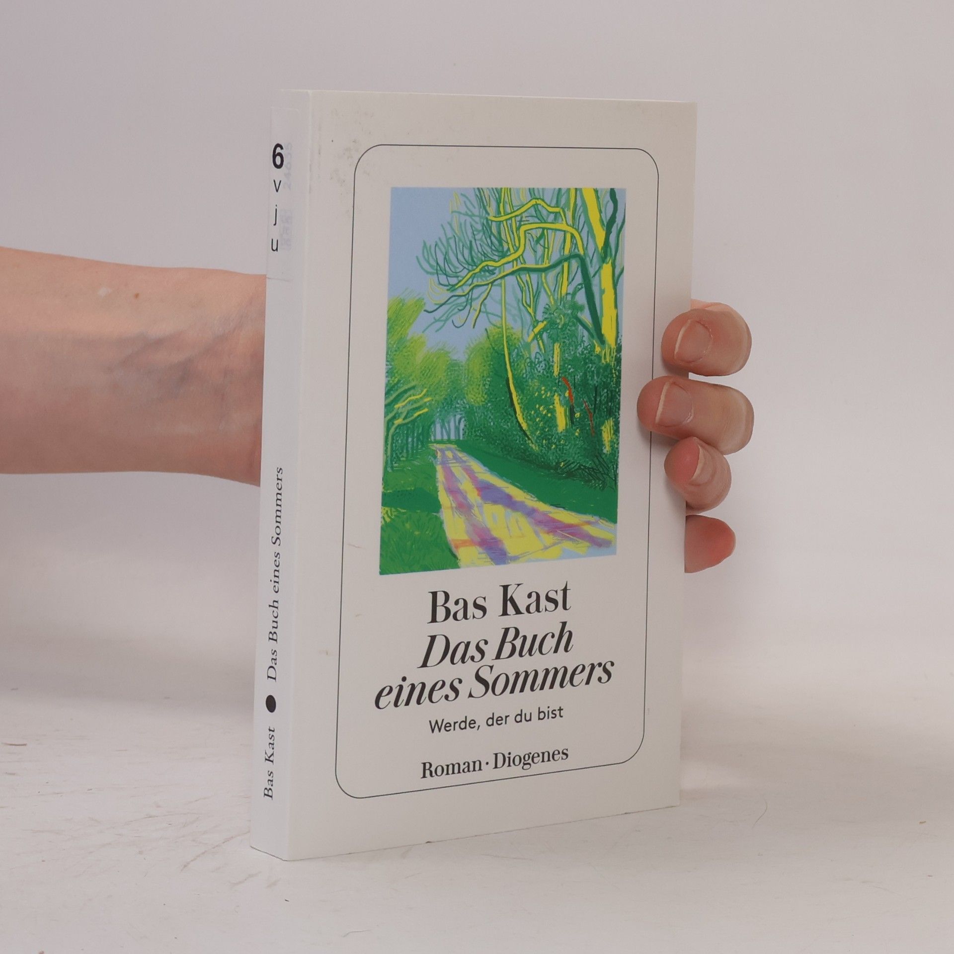 Bas Kast Das Buch eines Sommers