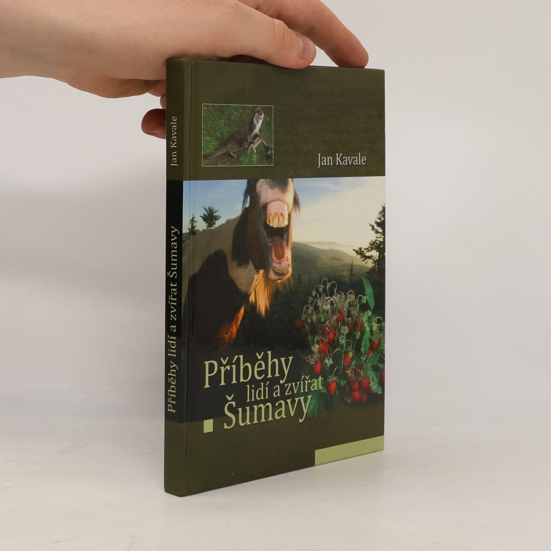 Jan Kavale Příběhy lidí a zvířat Šumavy