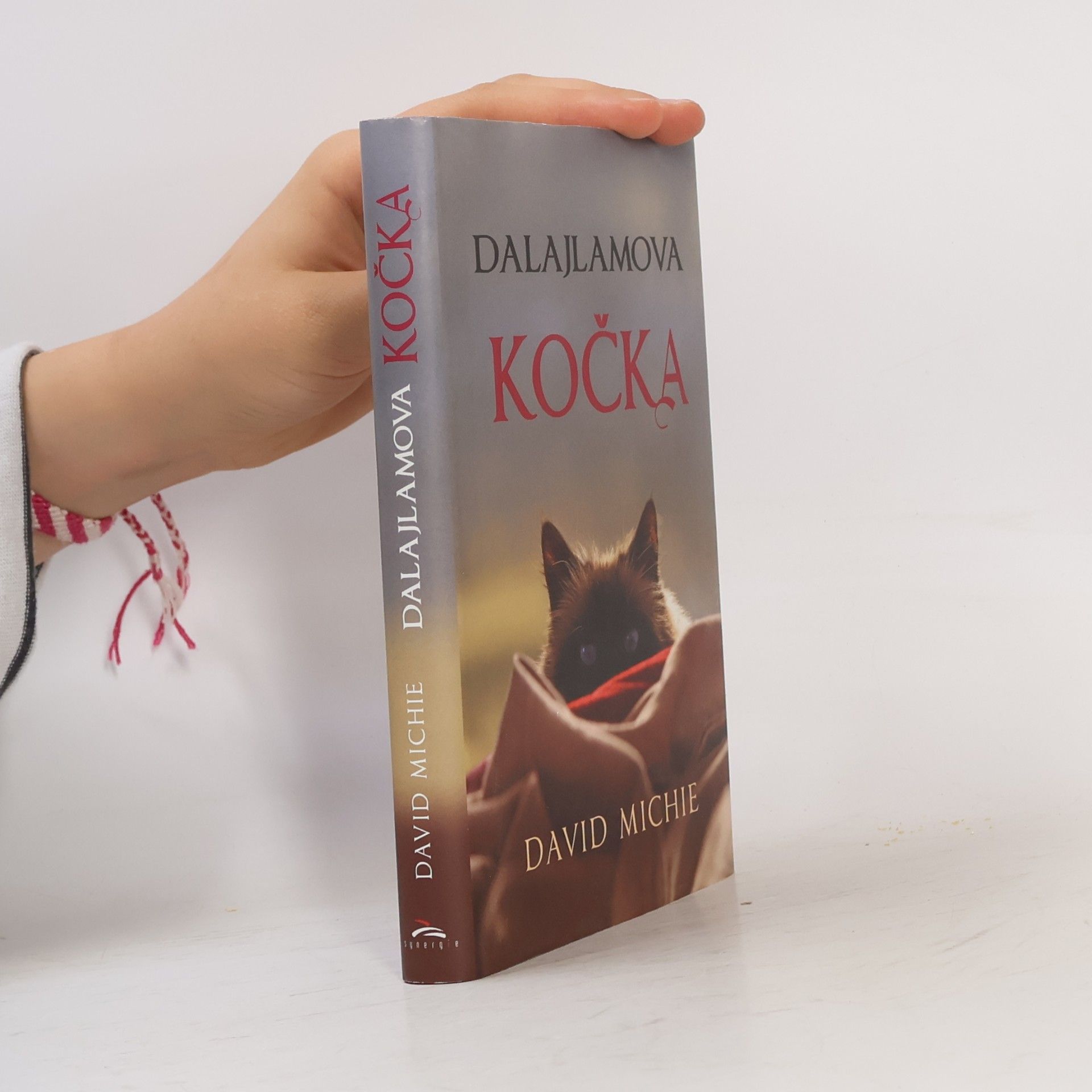 David Michie Dalajlamova kočka