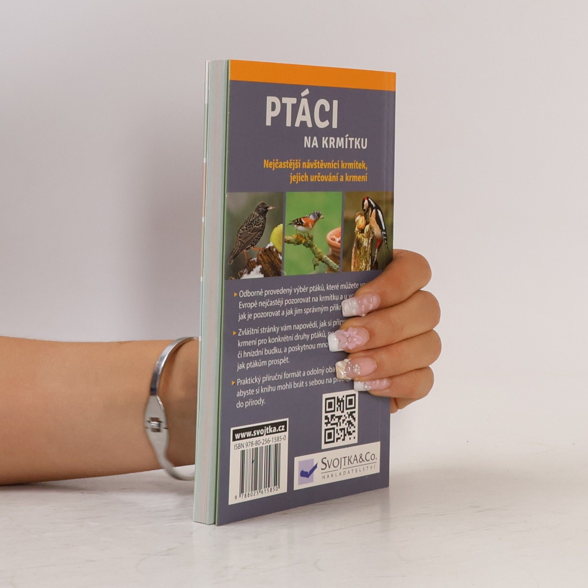 Angelika Lang Ptáci na krmítku