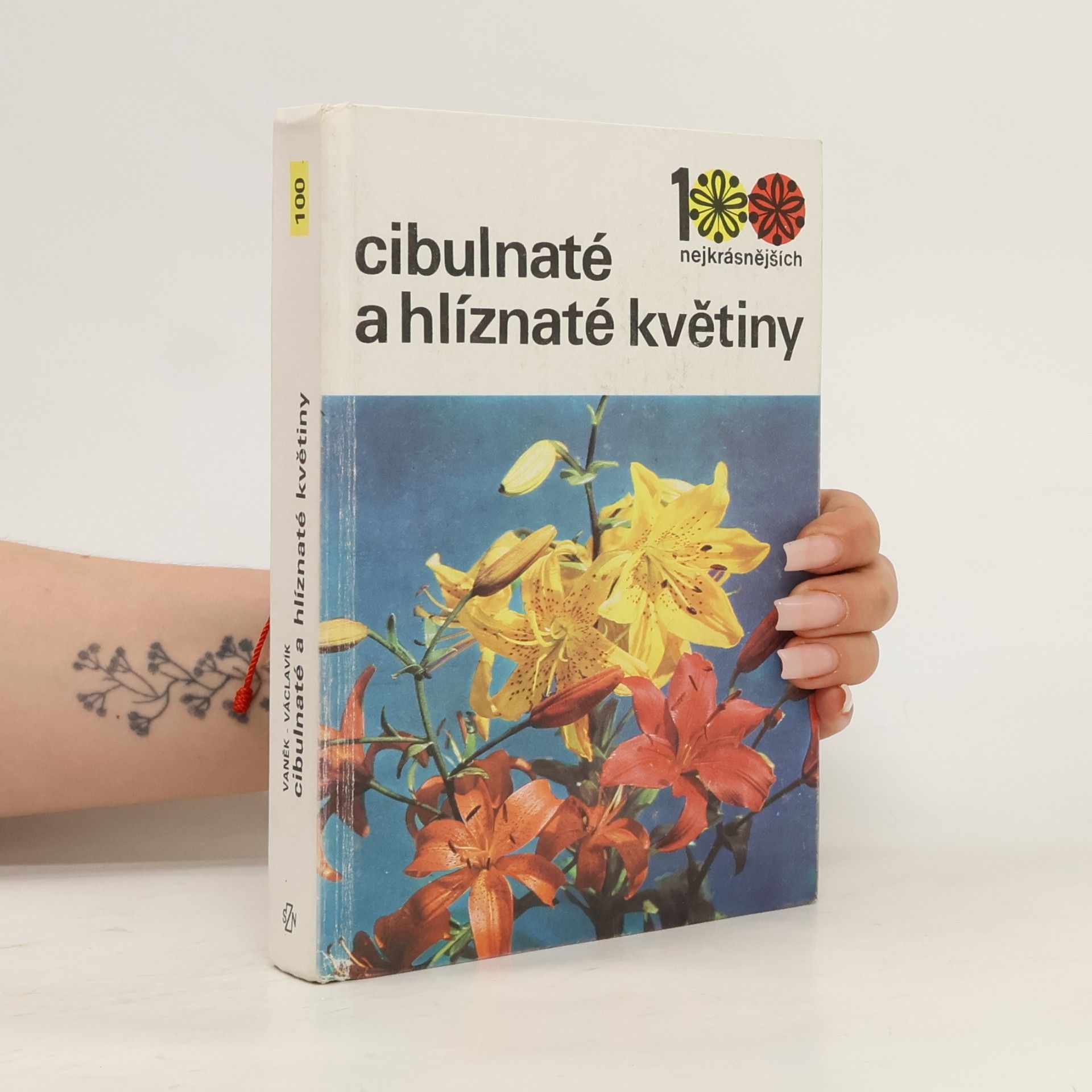 Vlastimil Vaněk Cibulnaté a hlíznaté květiny