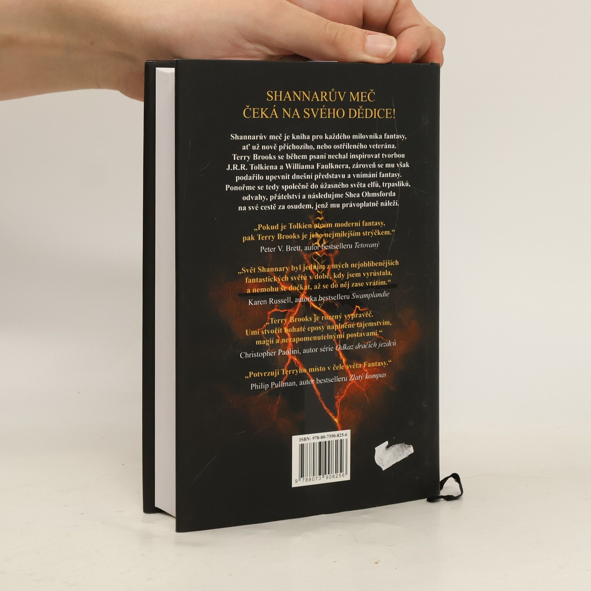 Terry Brooks Shannarův meč