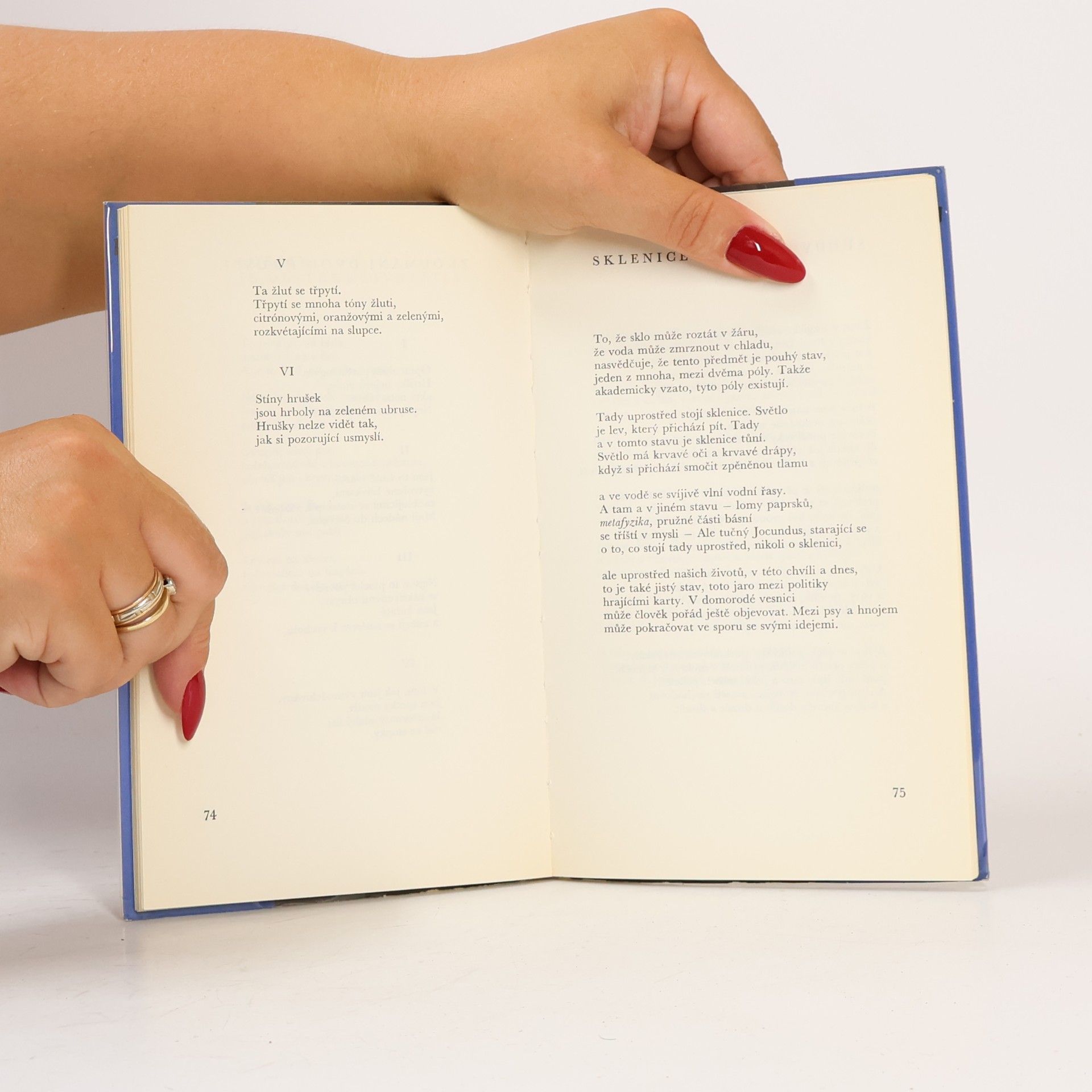 Wallace Stevens Muž s modrou kytarou