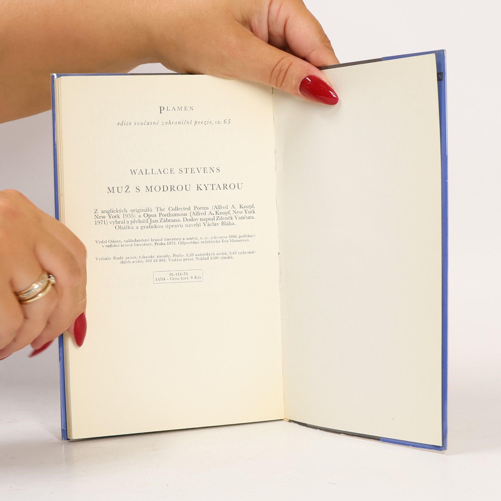 Wallace Stevens Muž s modrou kytarou