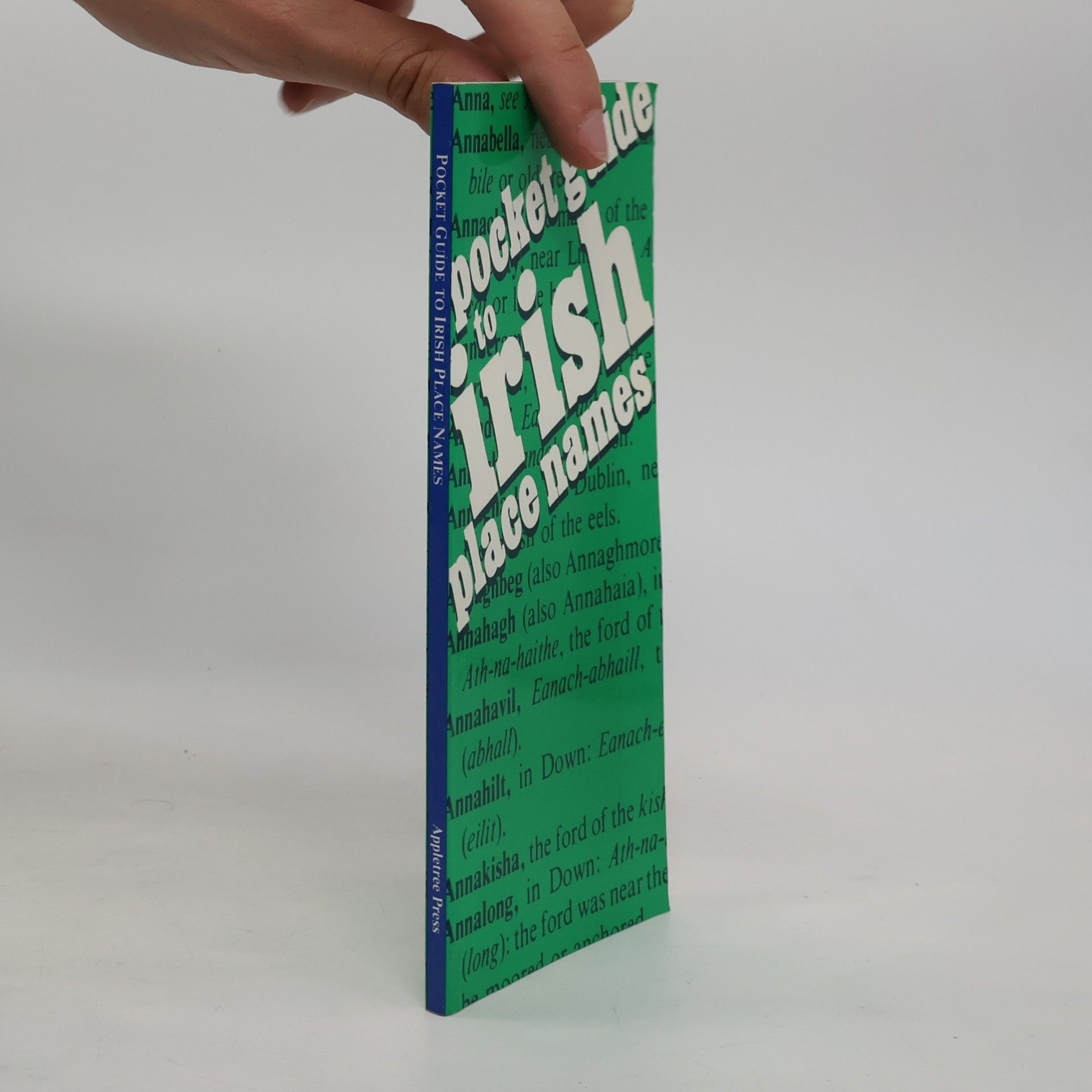 Patrick Weston Joyce Pocket Guide to Irish Place Names
