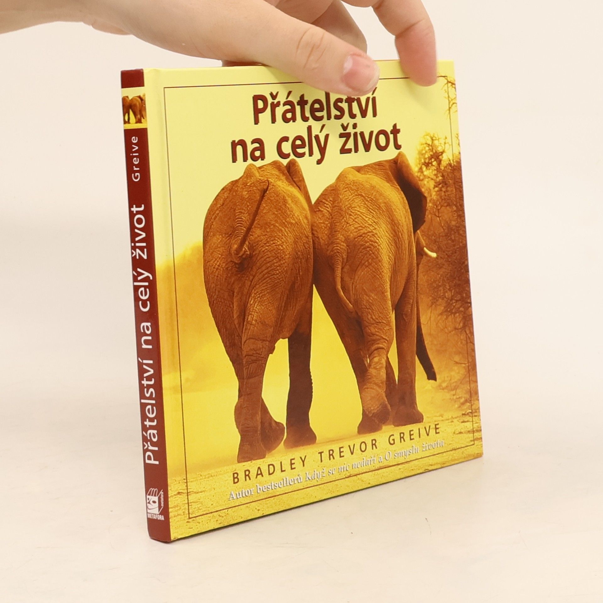 Greive Bradley Trevor Přátelství na celý život
