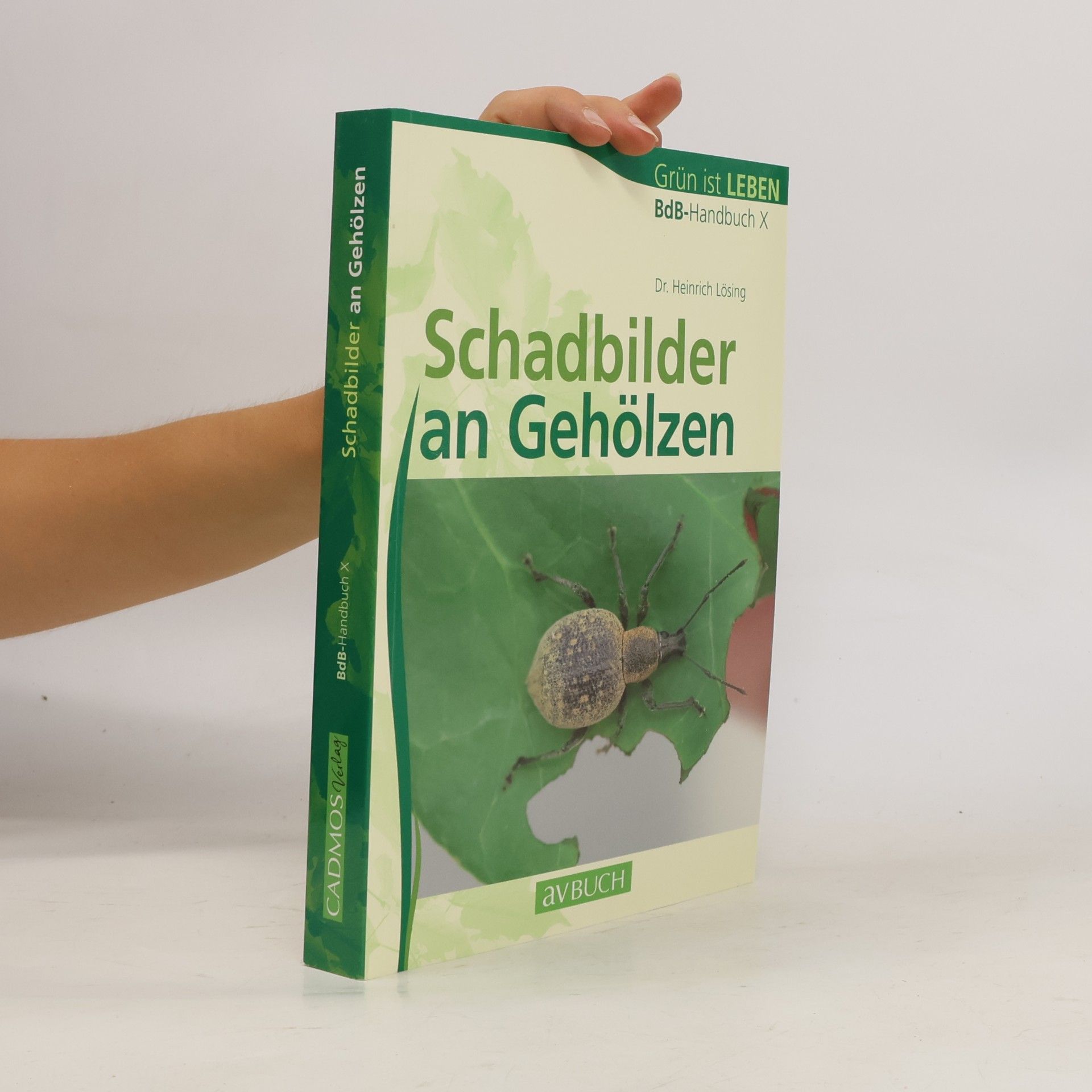 Dr. Heinrich Lösing Schadbilder an Gehölzen