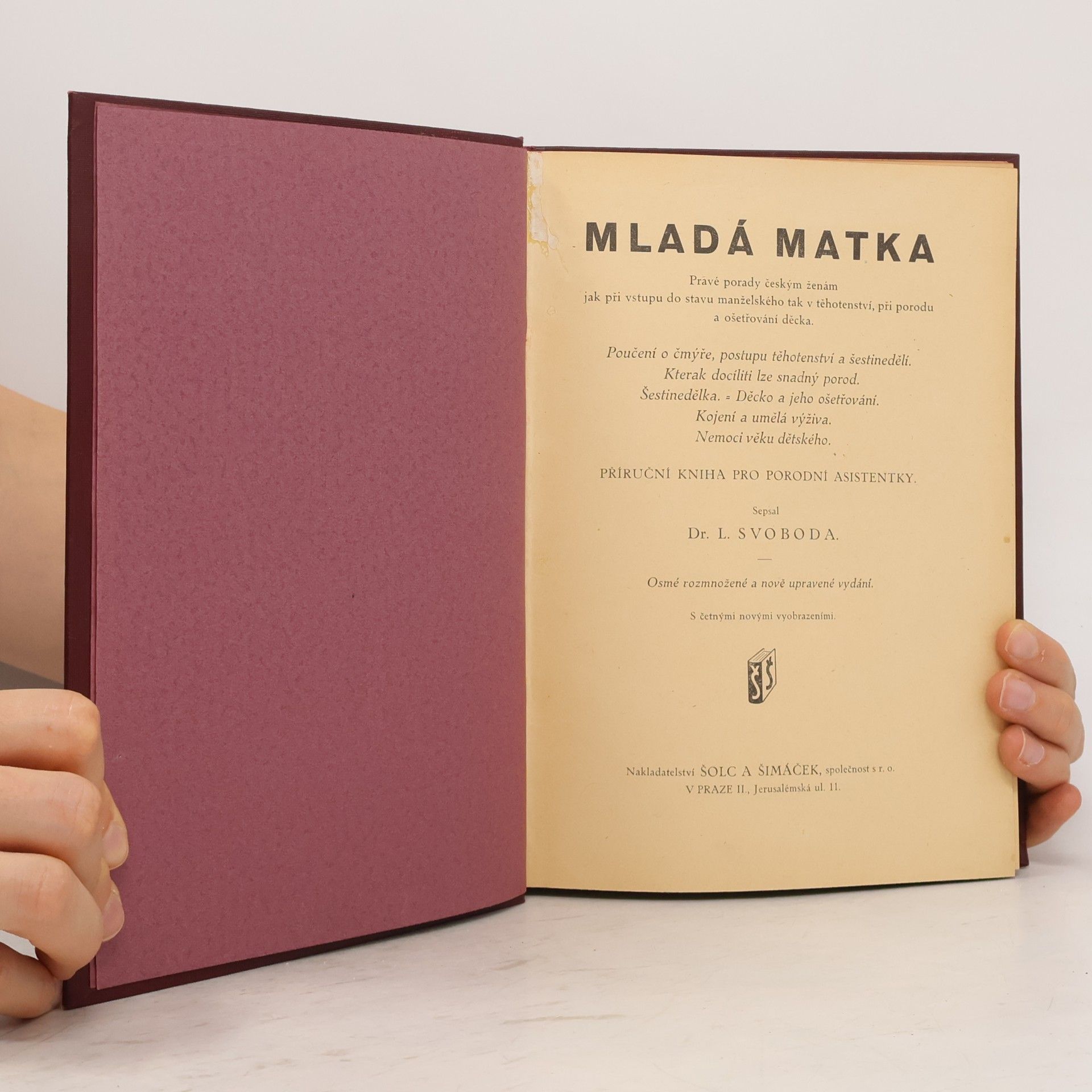 Luděk Svoboda Mladá matka