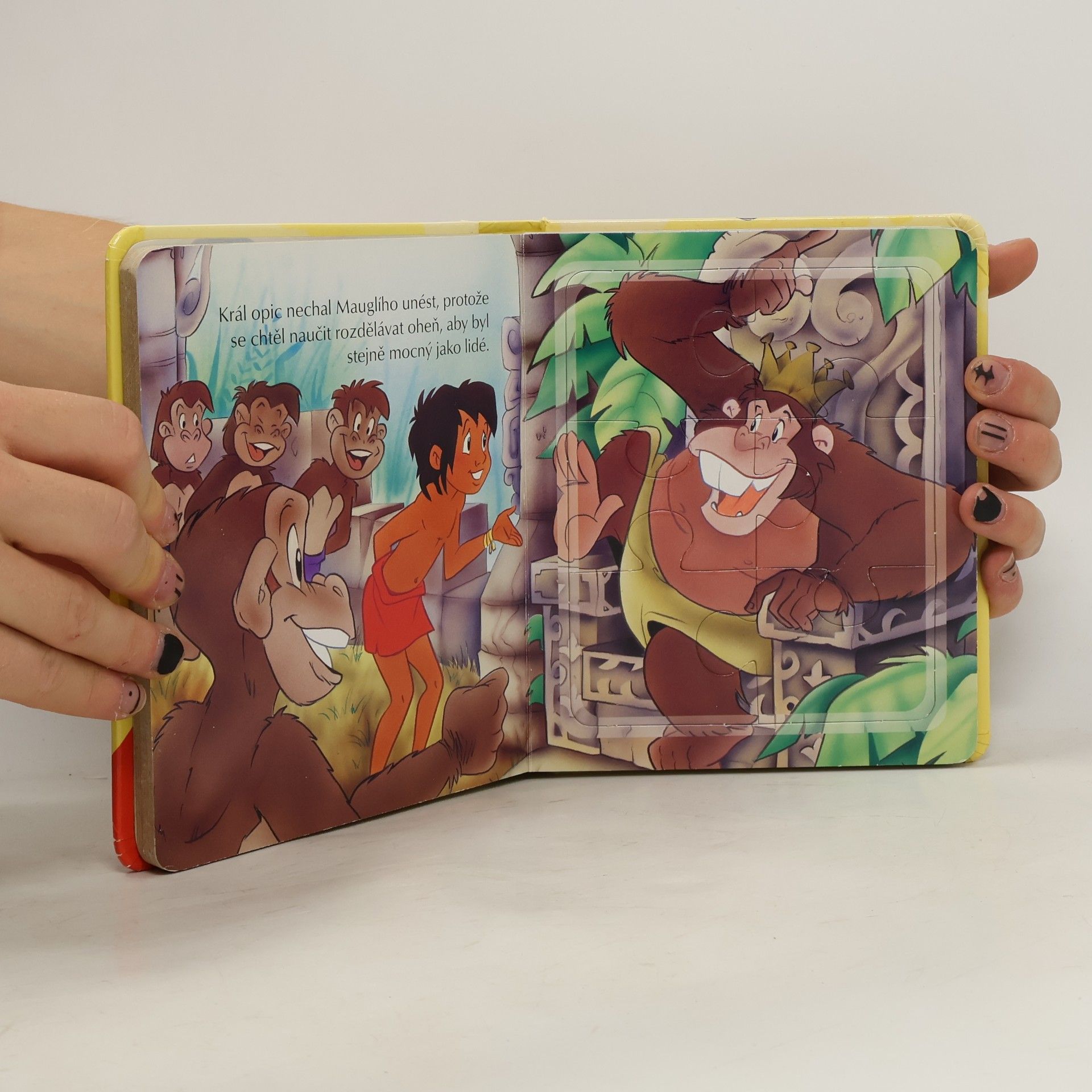 Various authors Kniha džunglí : Pohádka s puzzle