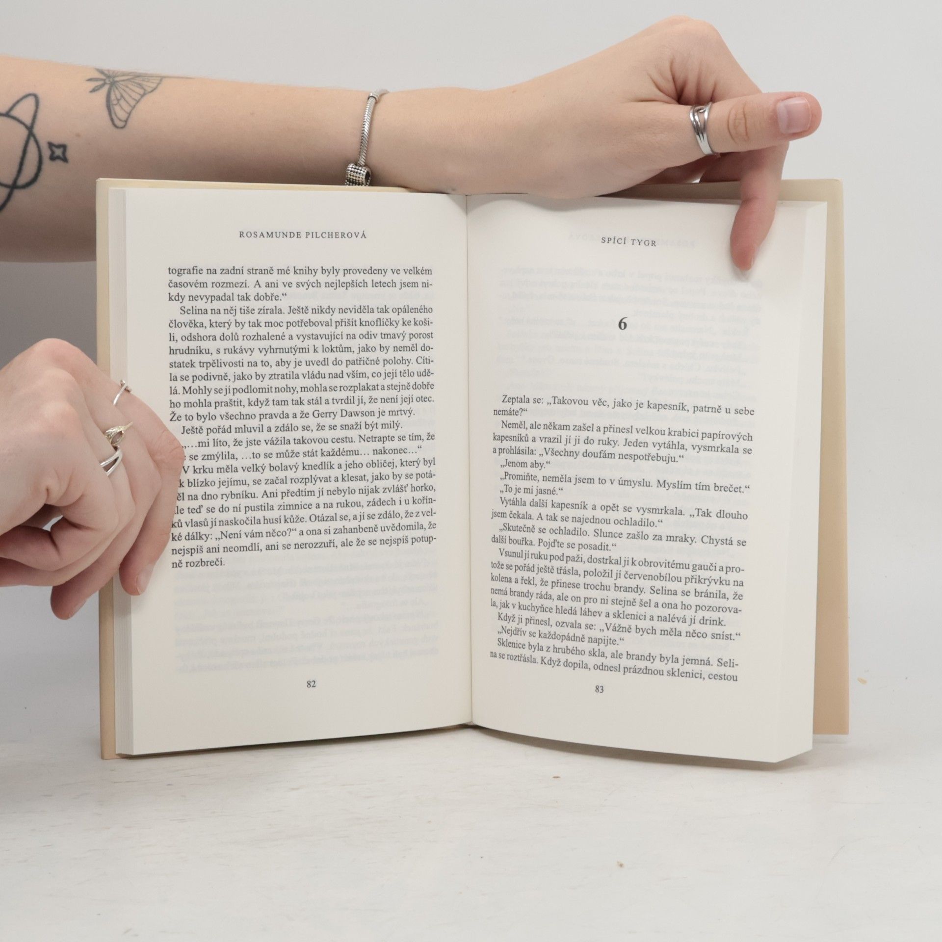 Rosamunde Pilcher Spící tygr