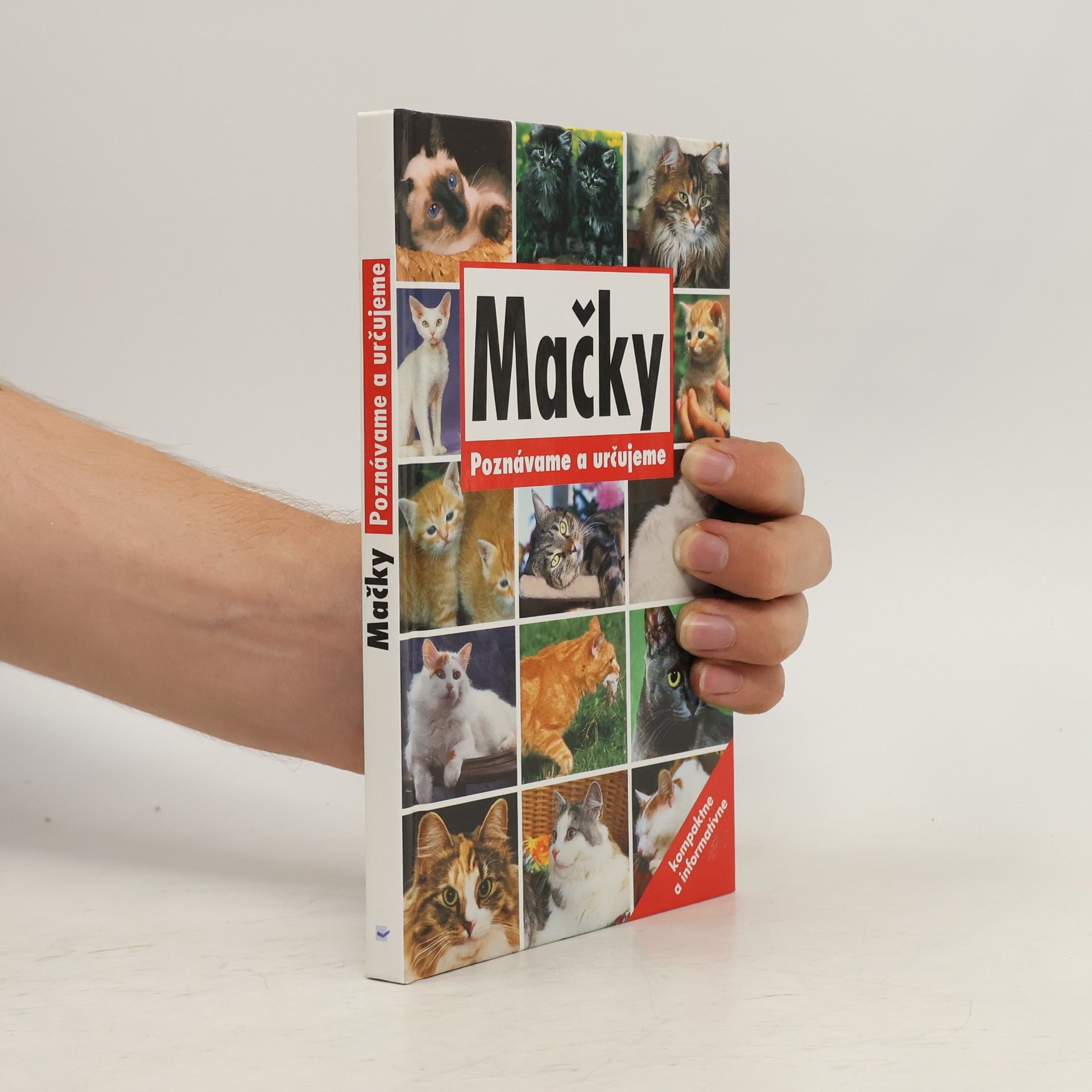 kolektiv Mačky - poznávame a určujeme