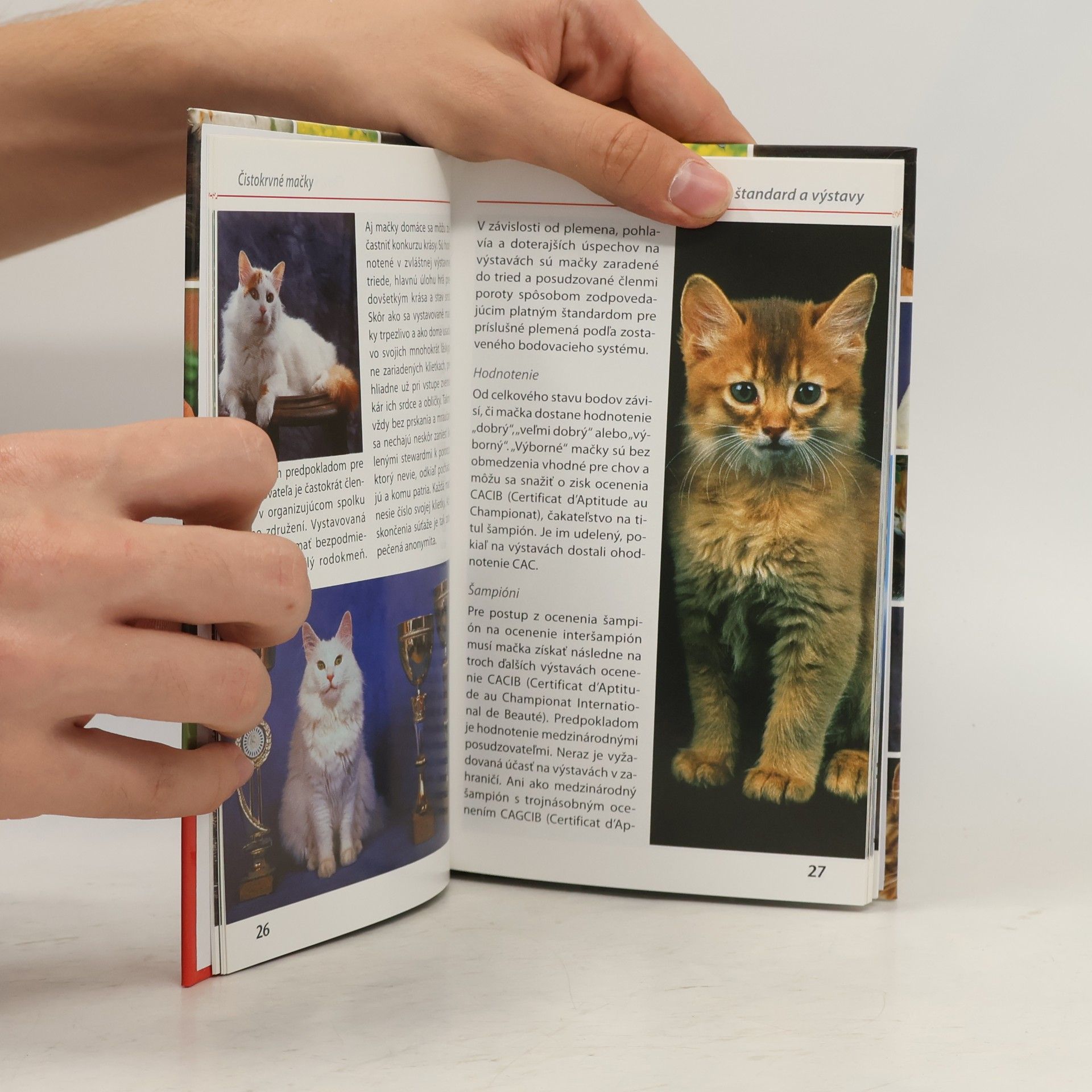 Various authors Mačky - poznávame a určujeme