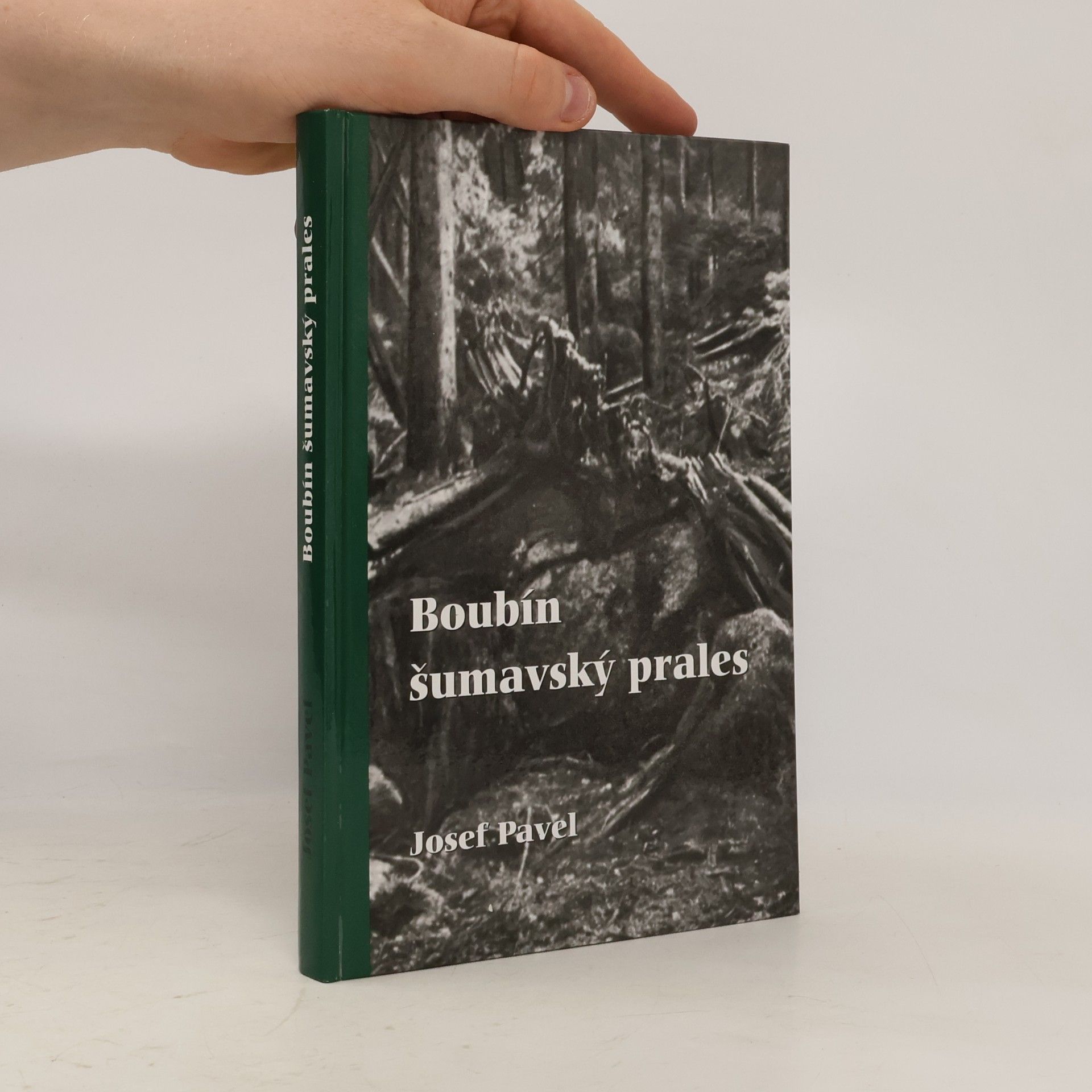 Josef Pavel Boubín, šumavský prales