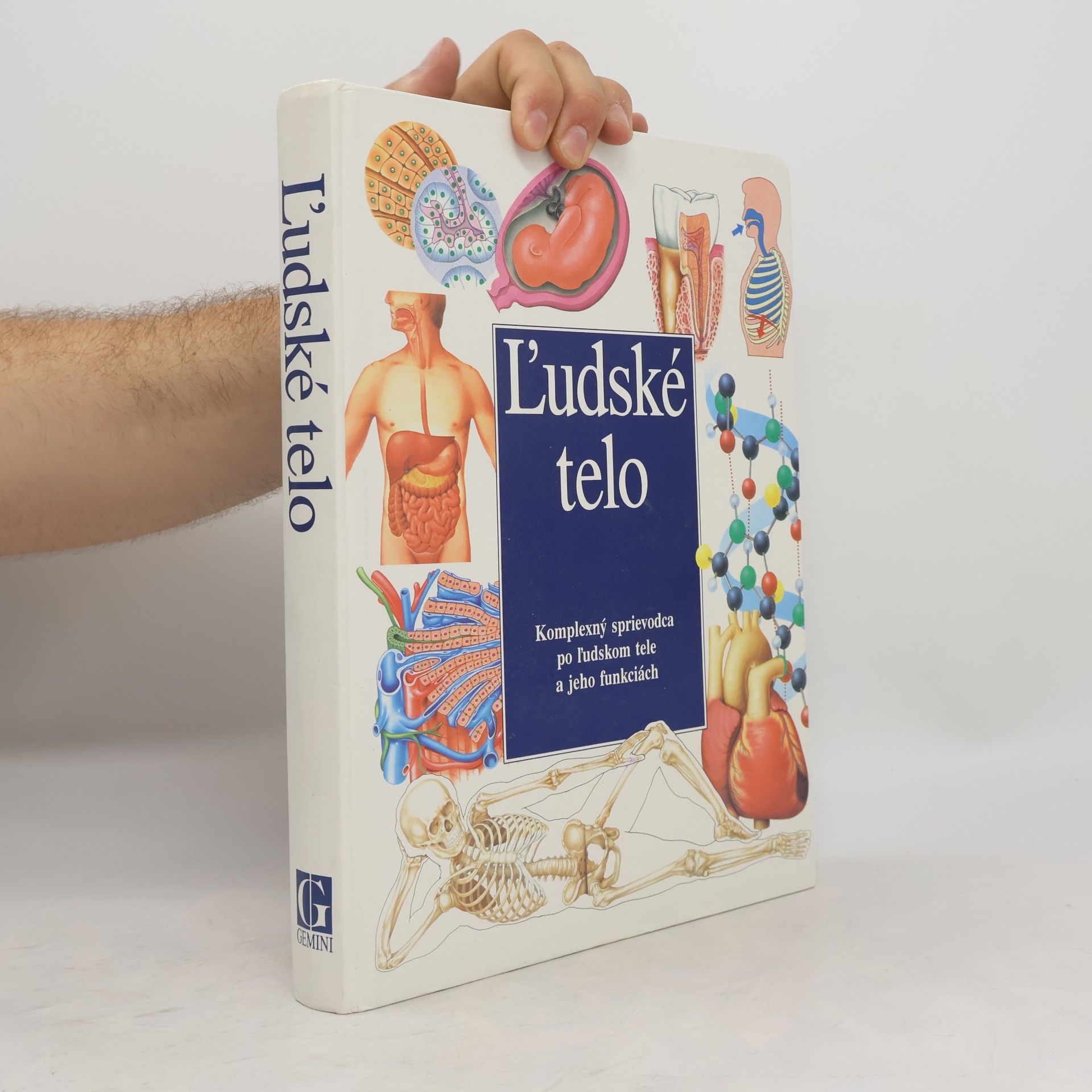 Collectif d'auteurs Ľudské telo