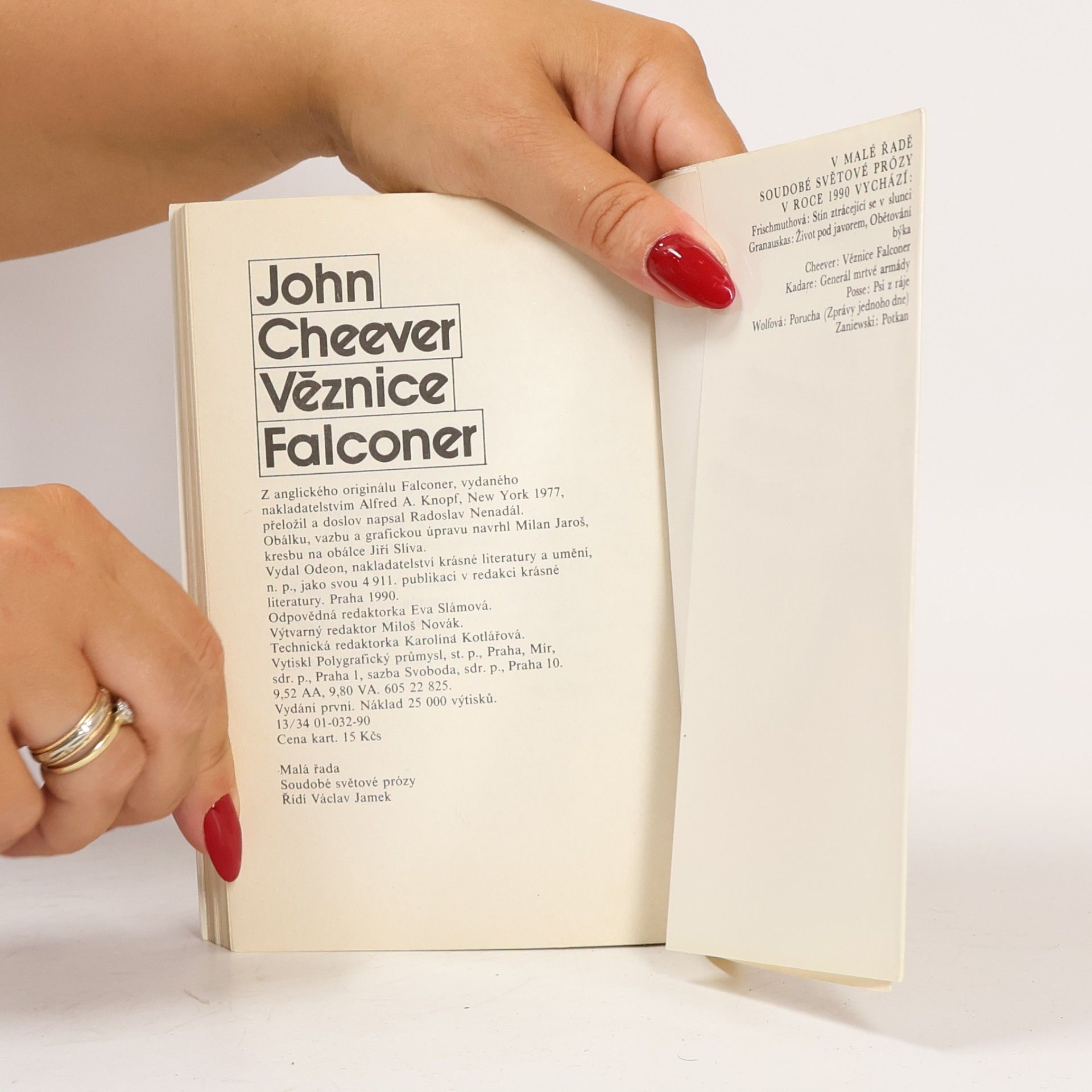 John Cheever Věznice Falconer