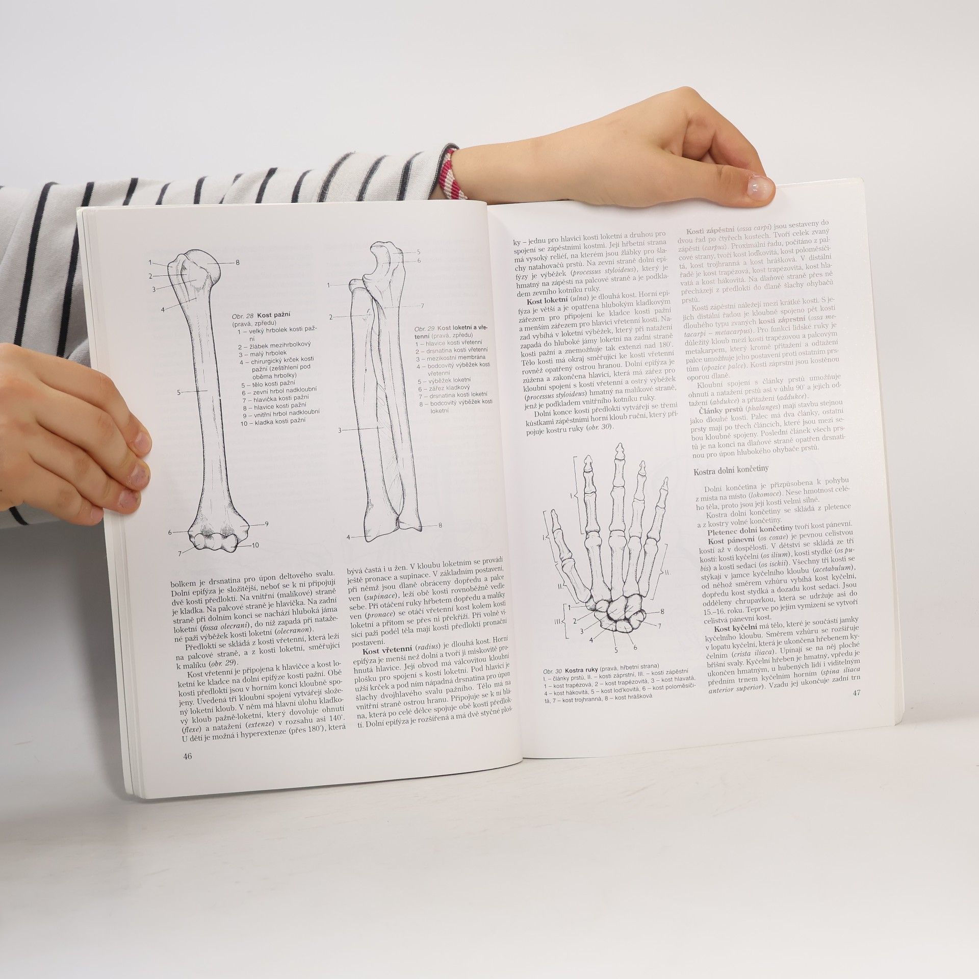 Jitka Machová Biologie člověka pro učitele