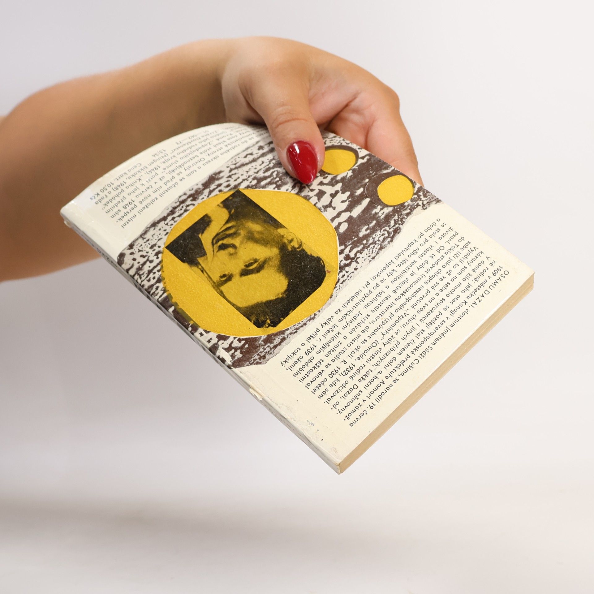 Osamu Dazai Zapadající slunce