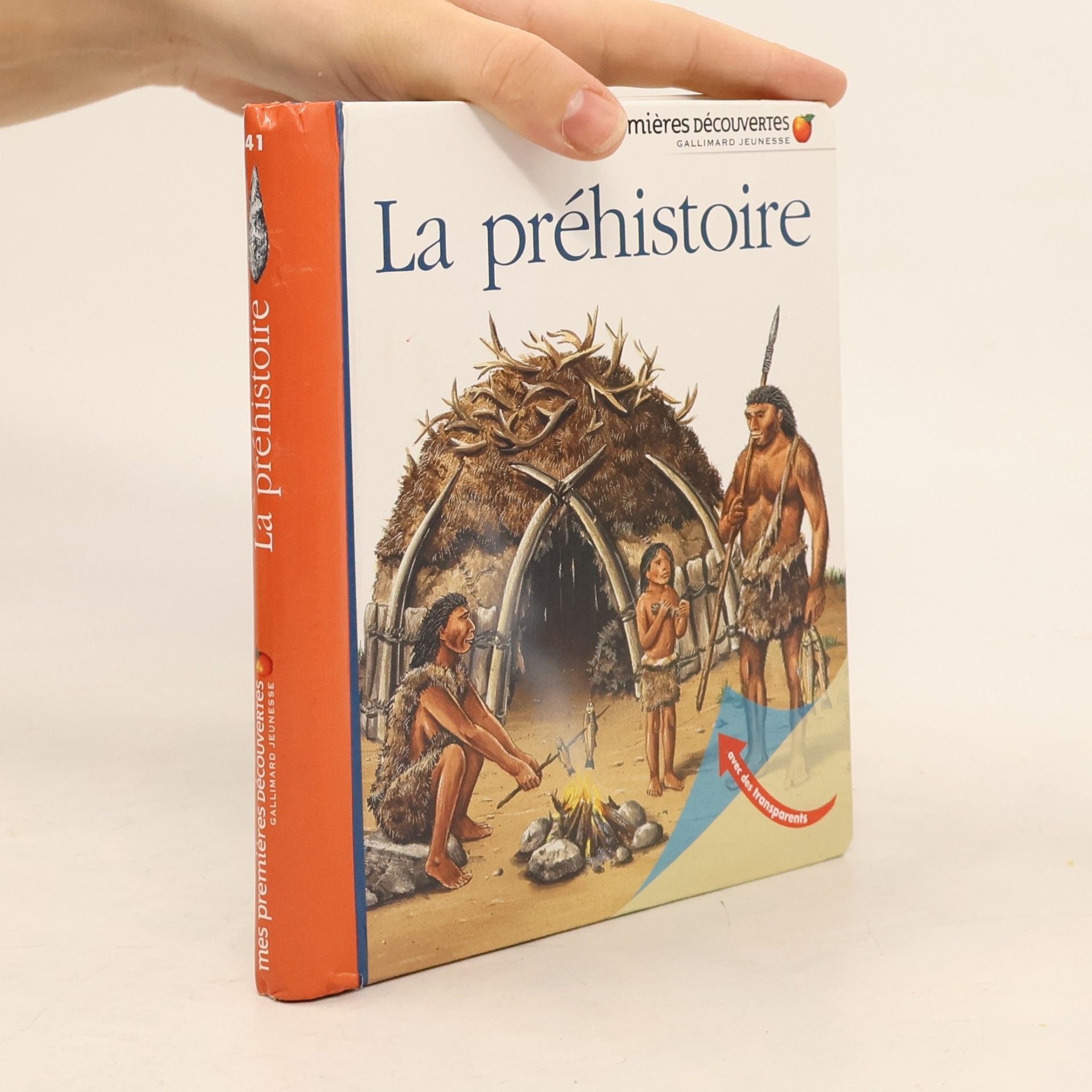 Dominique Joly La préhistoire