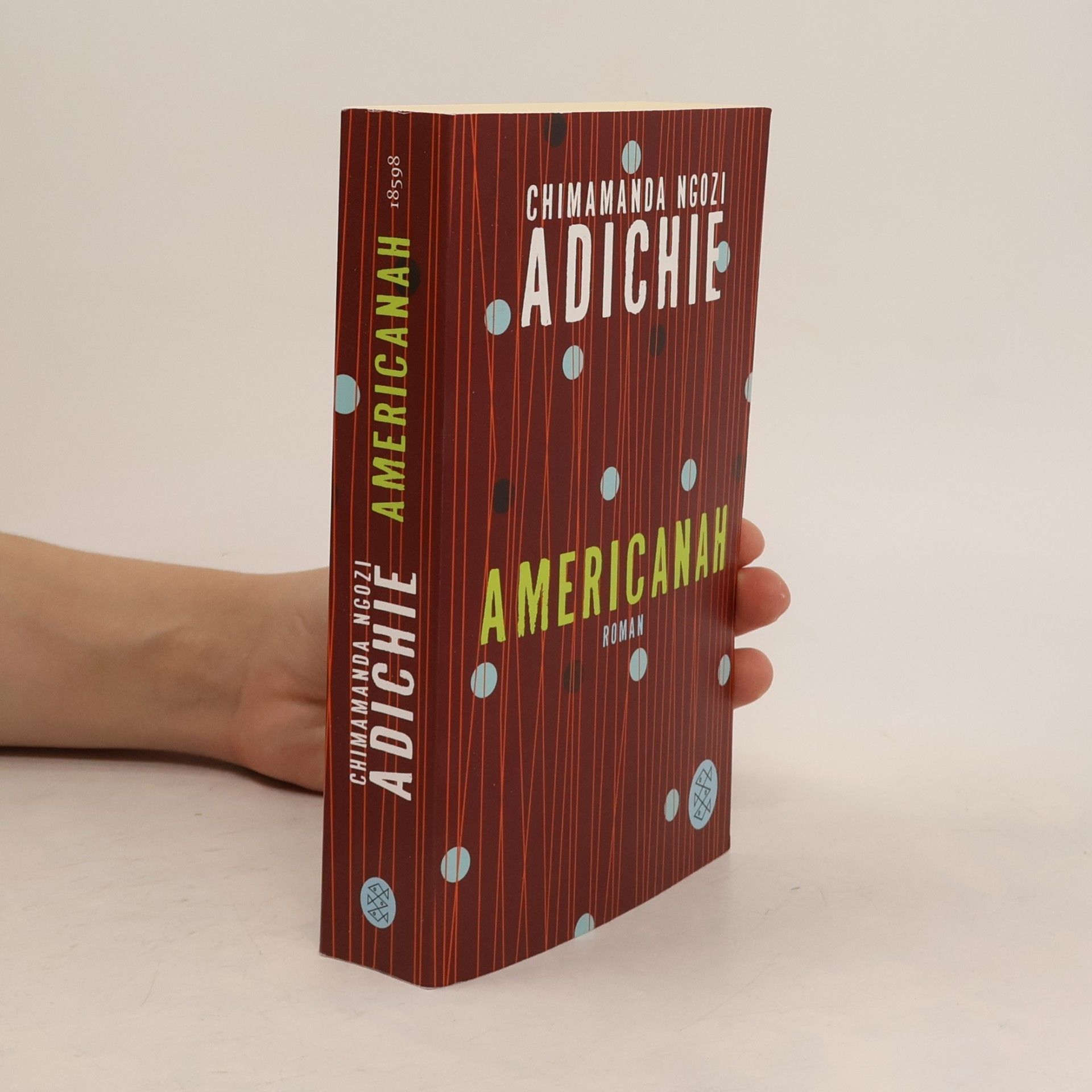 Chimamanda Ngozi Adichie Americanah