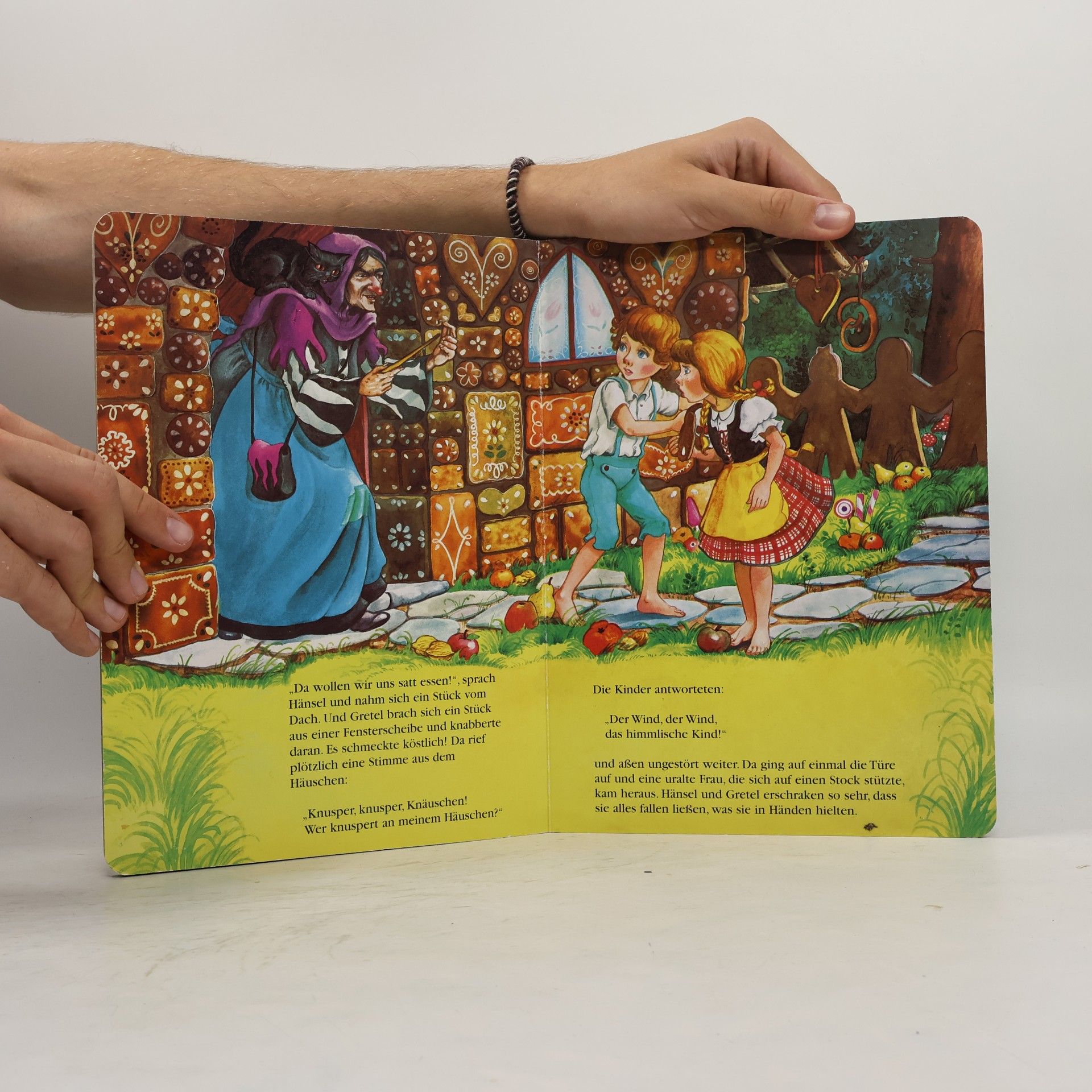 Anne Suess Hänsel und Gretel