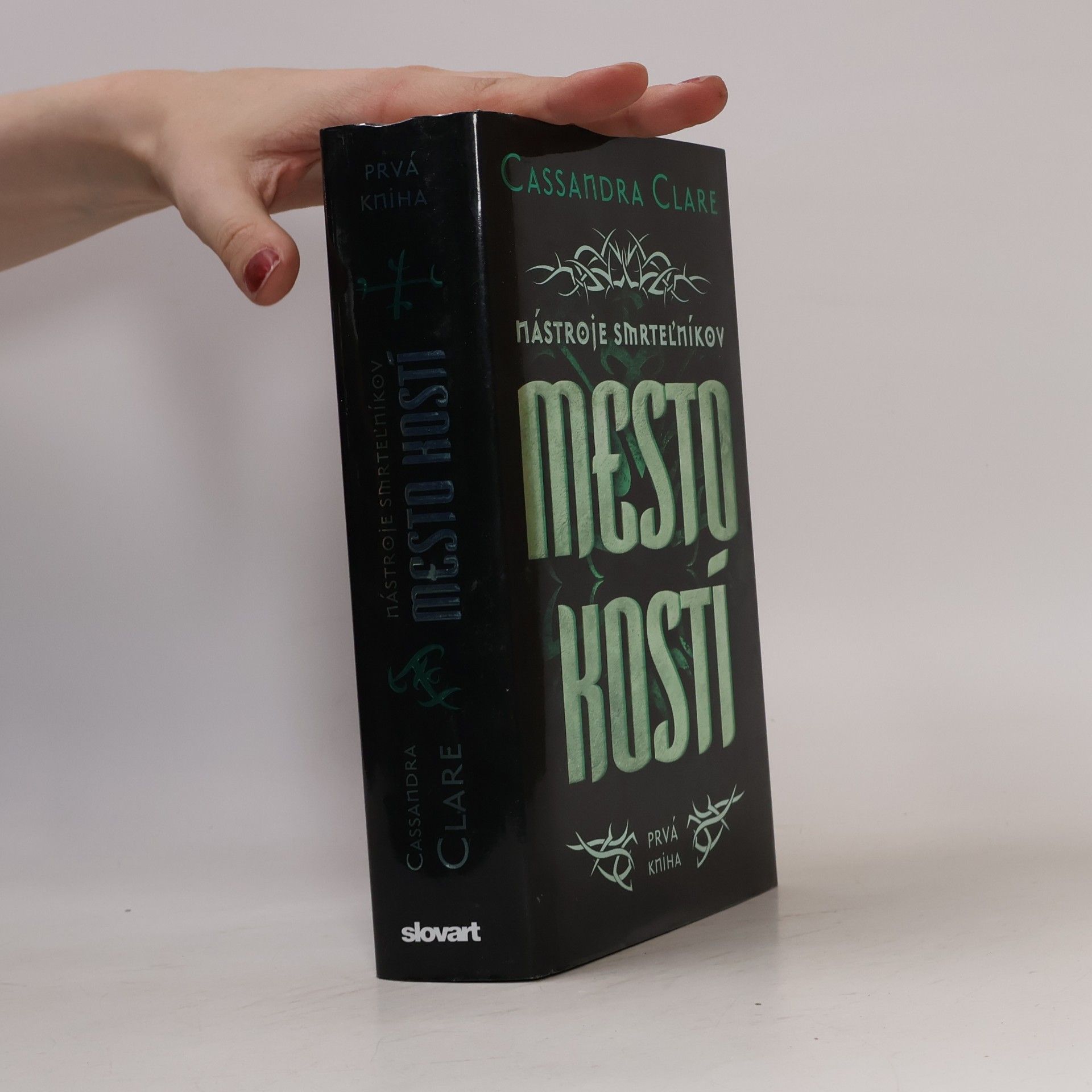 Cassandra Clare Mesto kostí