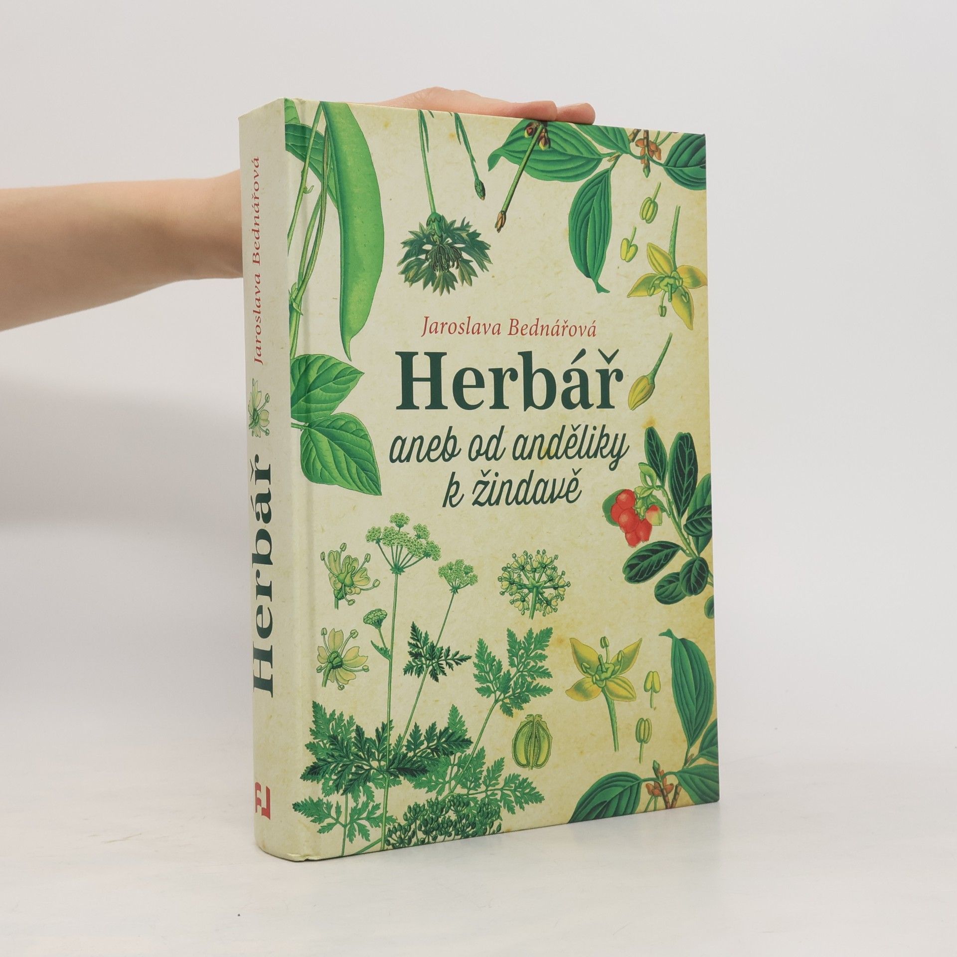 Jaroslava Bednářová Herbář, aneb, Od anděliky k žindavě