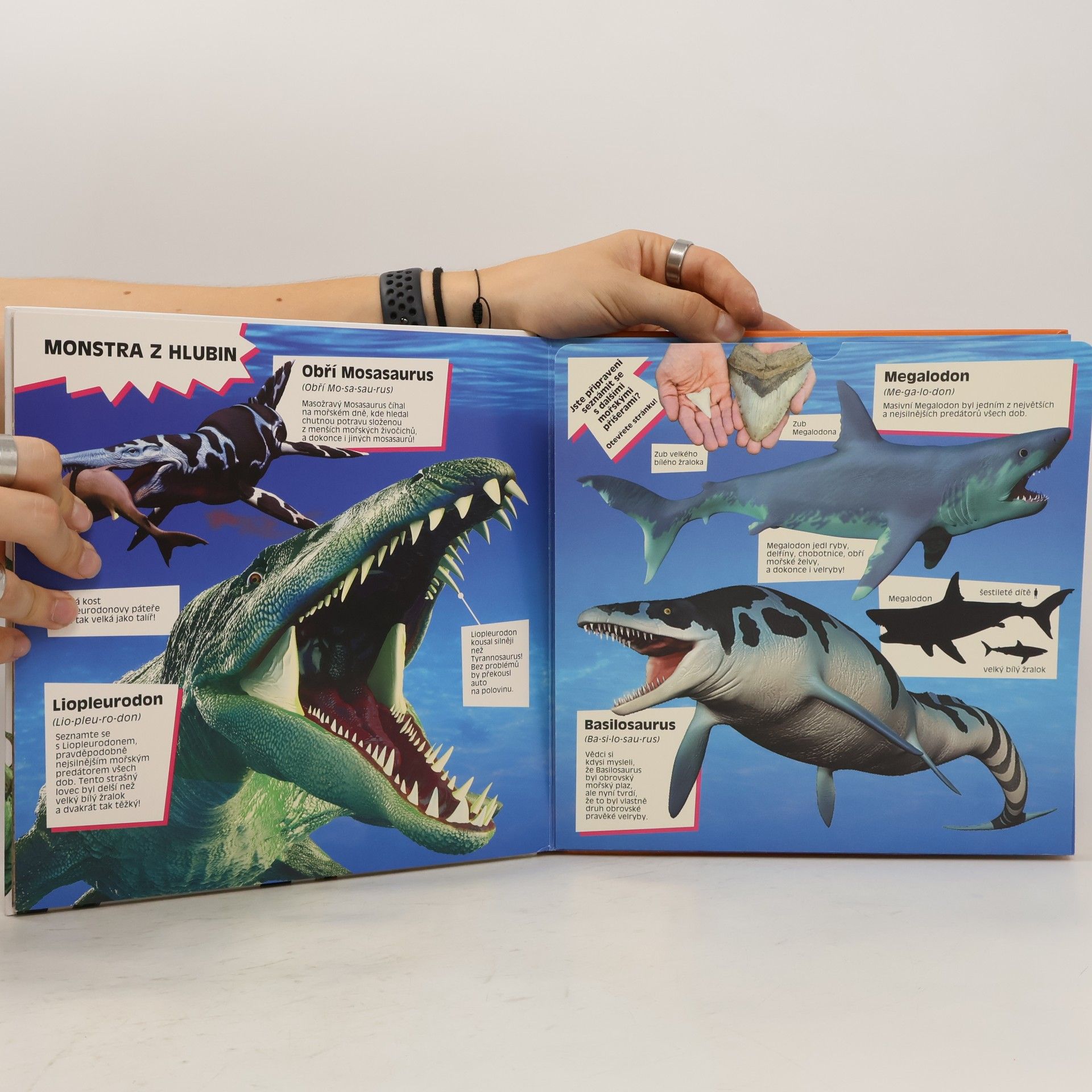 Marek Kurta Úžasní dinosauři : velké rozkládací strany plné faktů