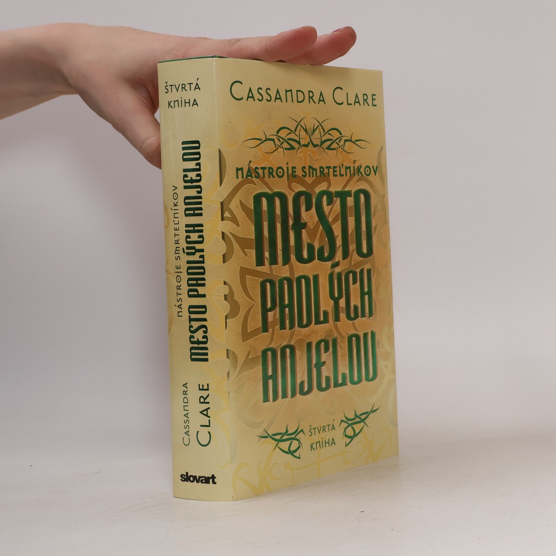 Cassandra Clare Mesto padlých anjelov