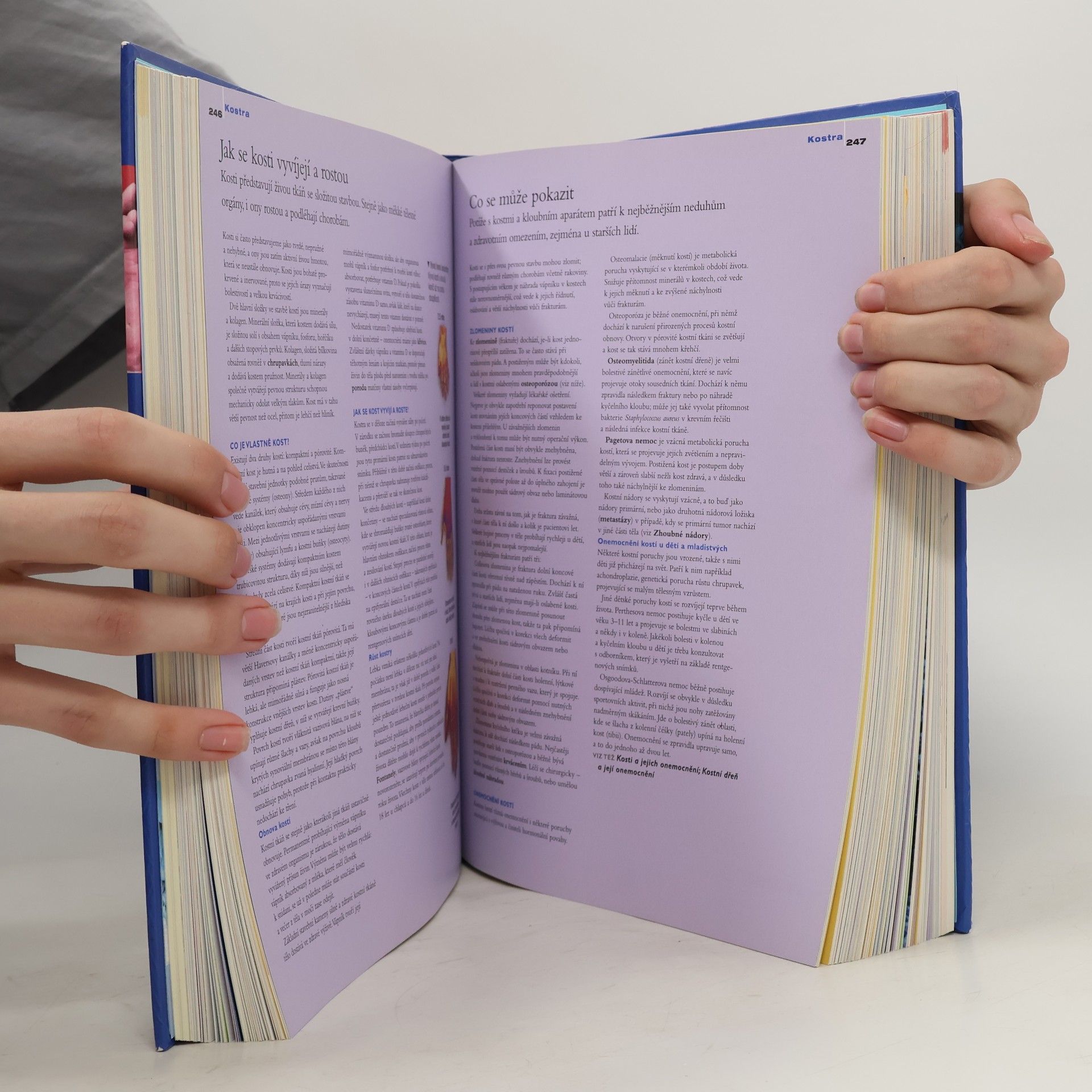 Autorenkollektiv Rodinná encyklopedie medicíny a zdraví