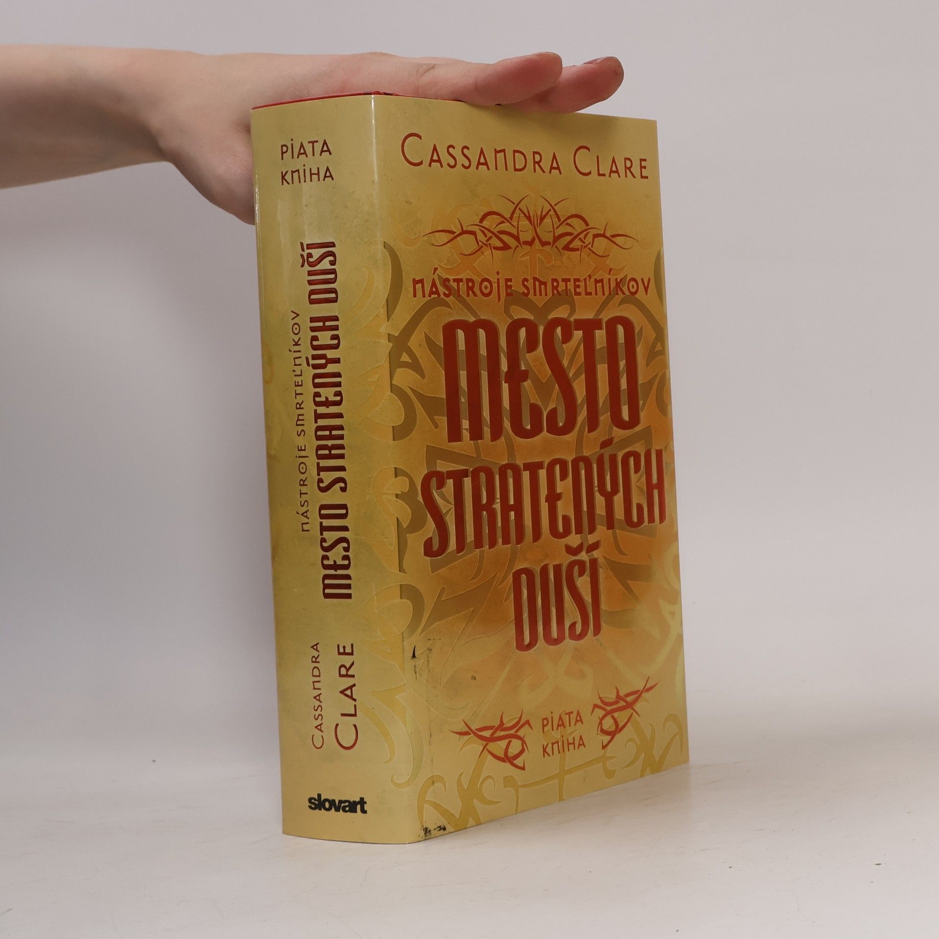 Cassandra Clare Mesto stratených duší