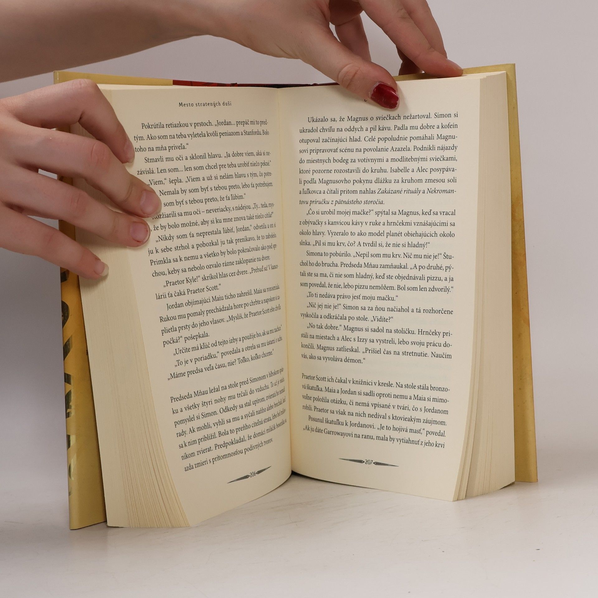 Cassandra Clare Mesto stratených duší