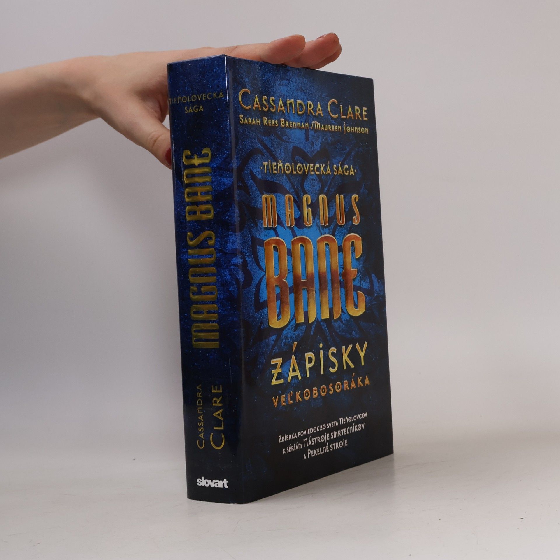 Cassandra Clare Magnus Bane - Zápisky veľkobosoráka