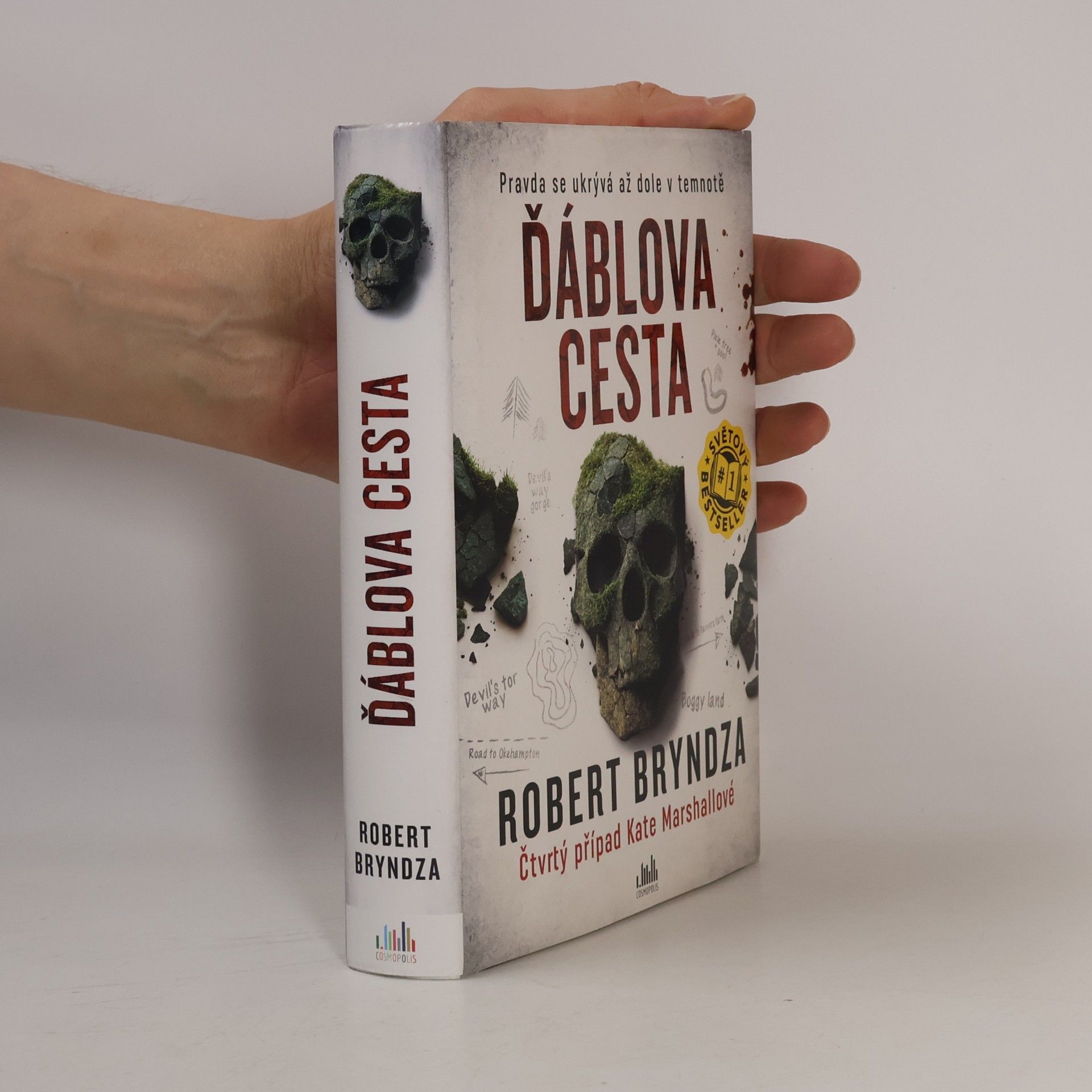 Robert Bryndza Ďáblova cesta