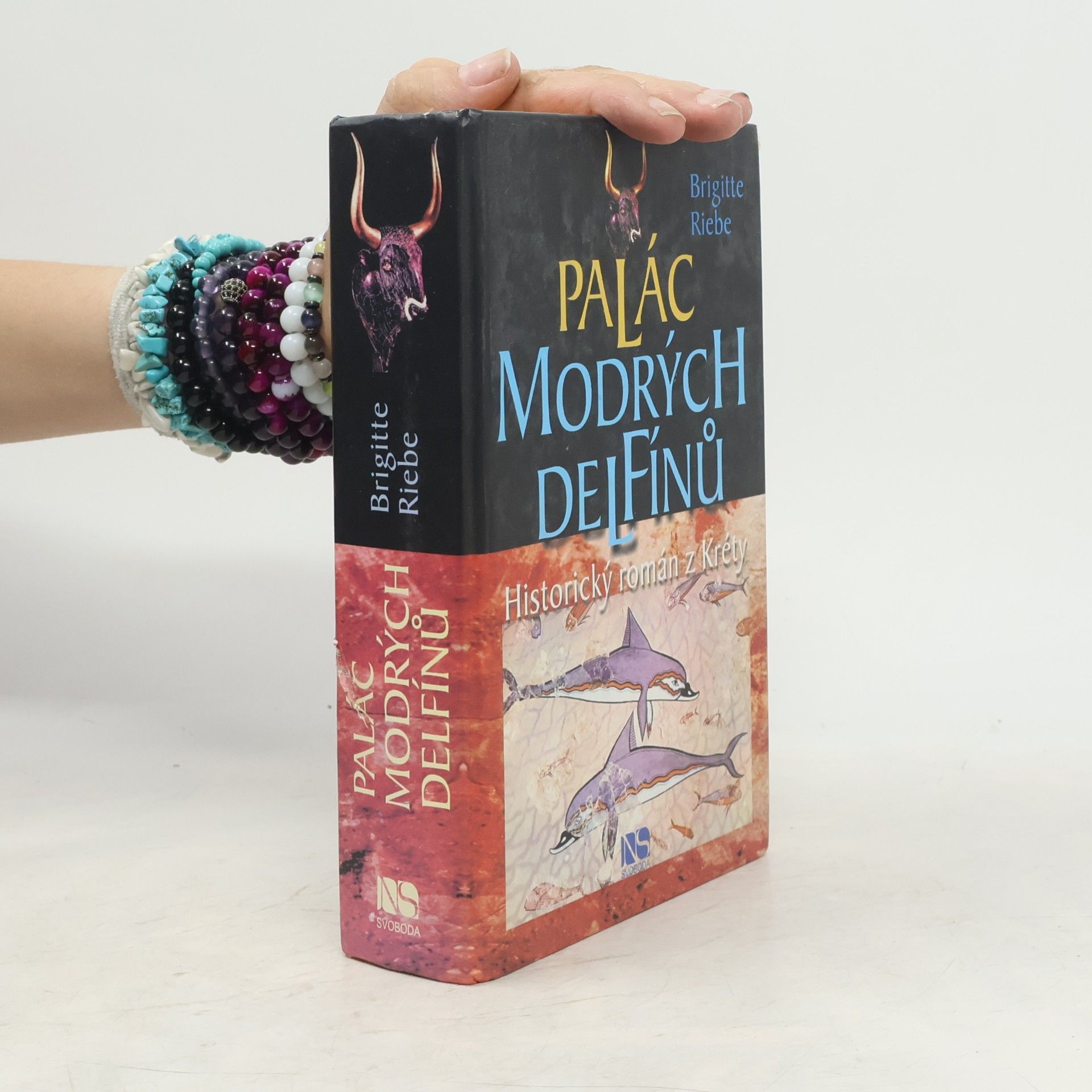 Brigitte Riebe Palác modrých delfínů