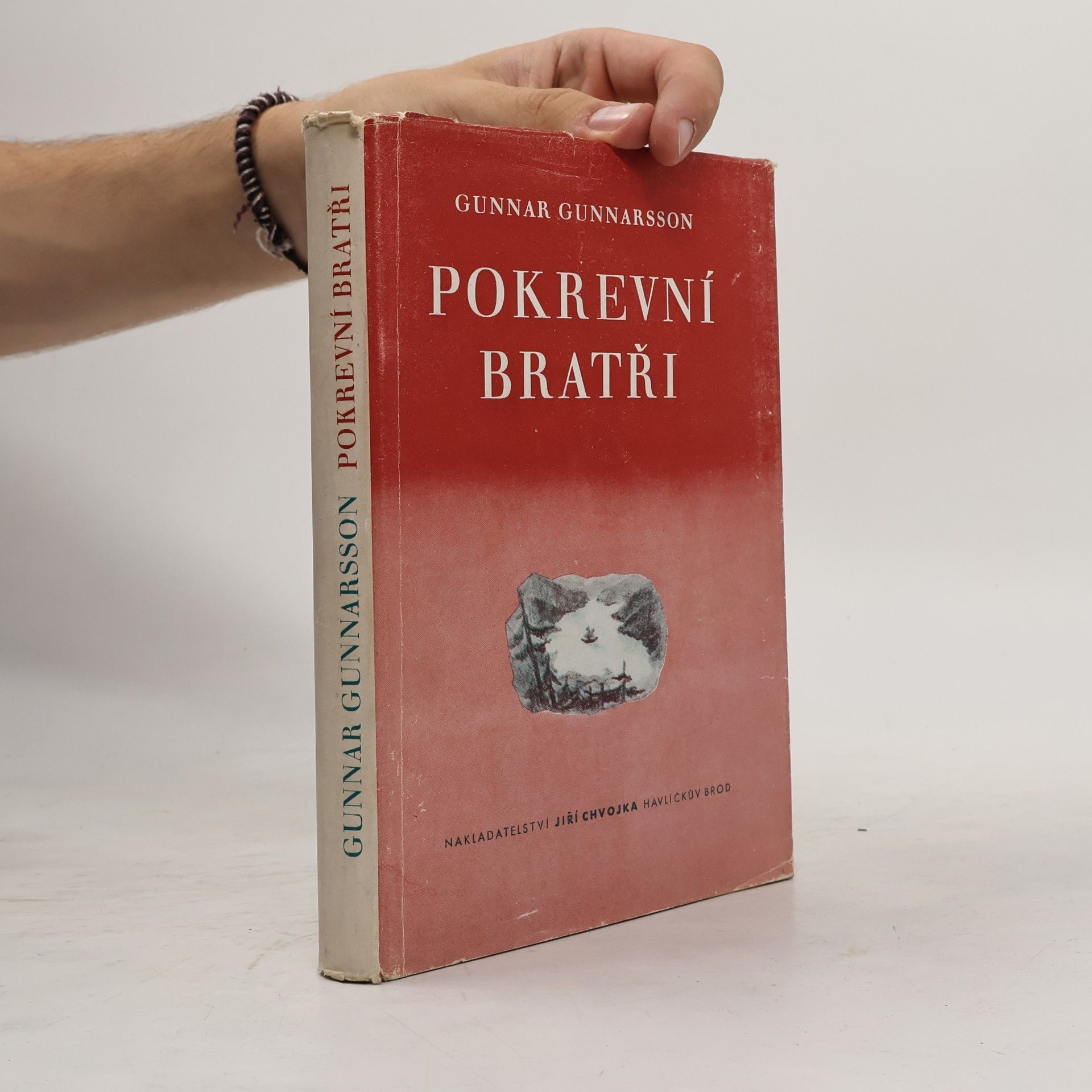 Gunnarsson Gunnar Pokrevní bratři