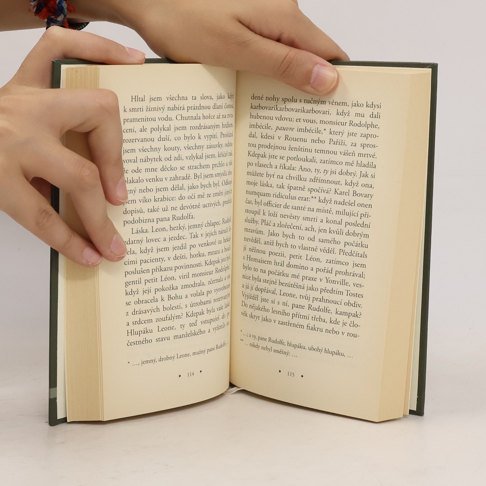 Jean Améry Karel Bovary, venkovský lékař. Portrét obyčejného muže