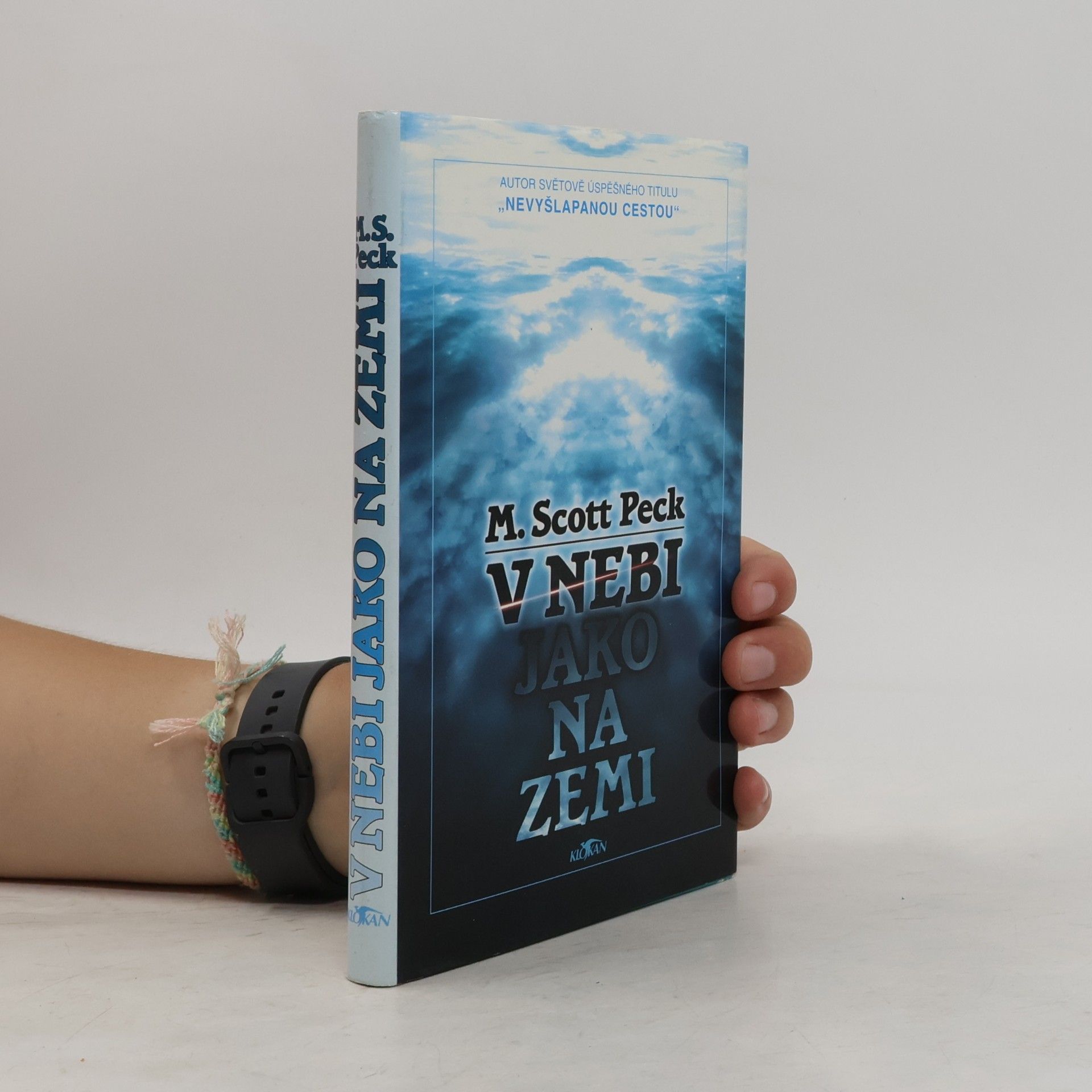Irena Palová V nebi jako na zemi