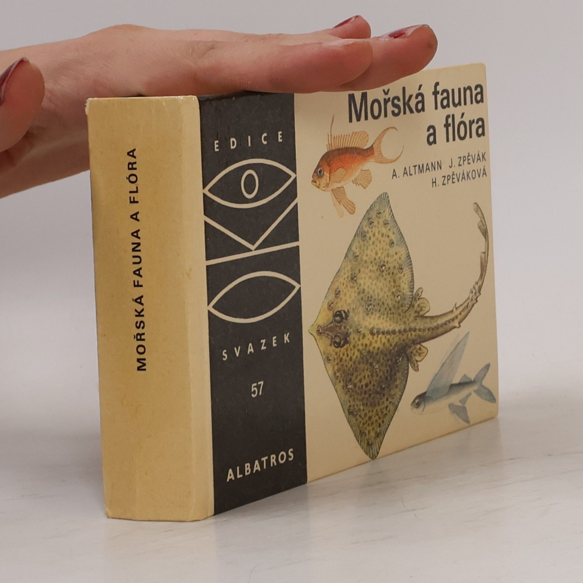 Antonín Altmann Mořská fauna a flóra