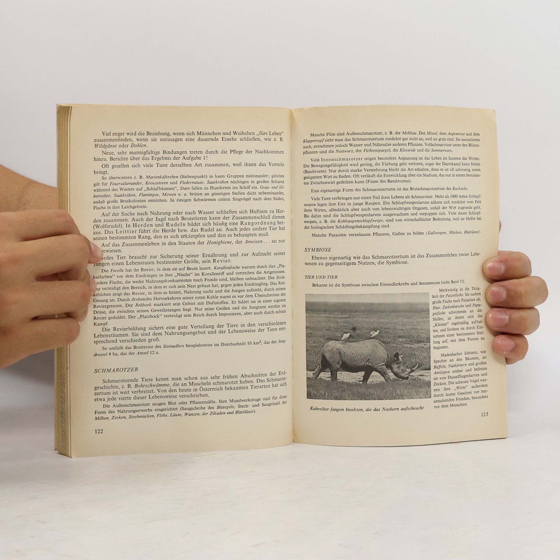 H. List Lehrbuch der Naturgeschichte